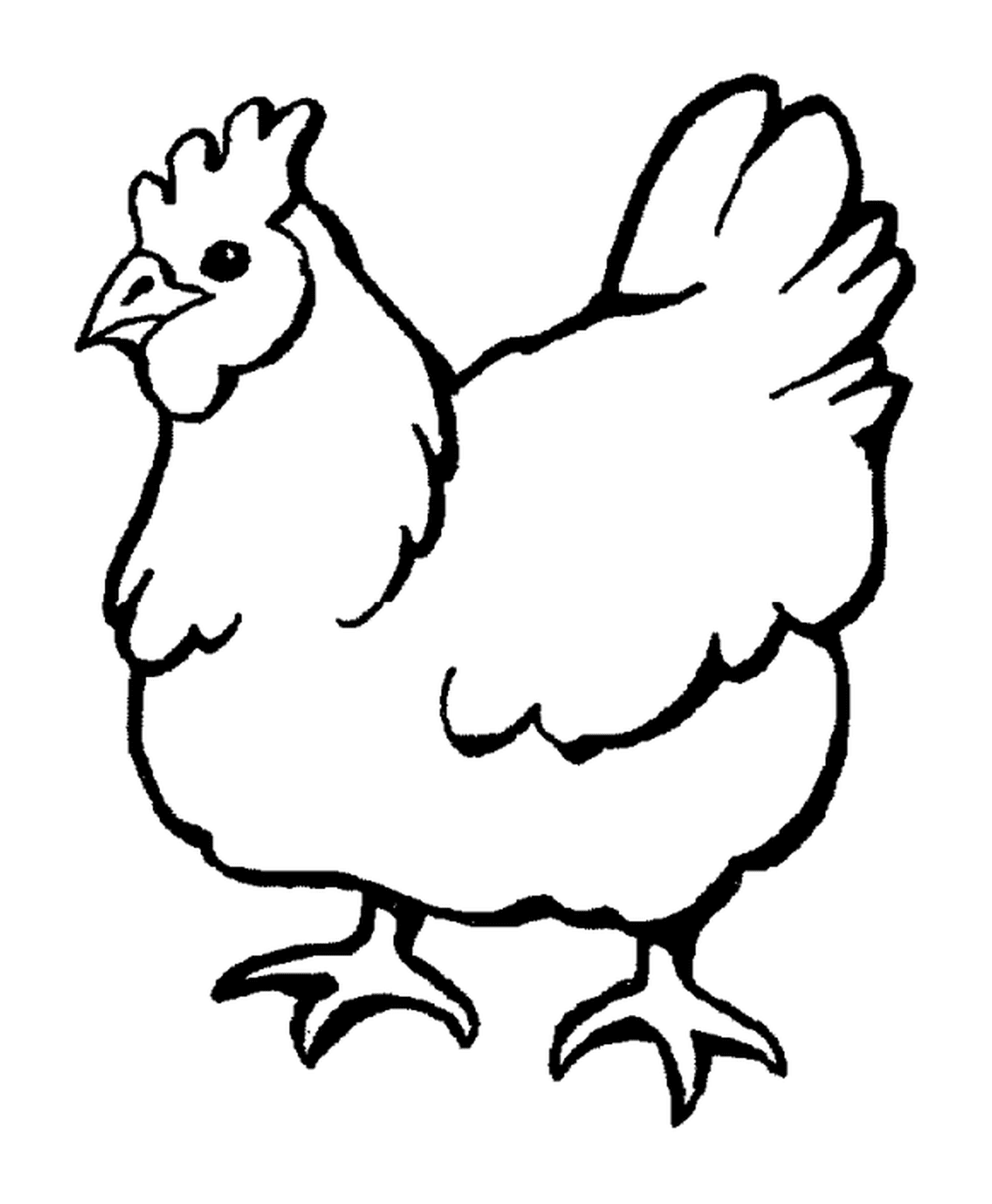  Ein schönes Huhn 