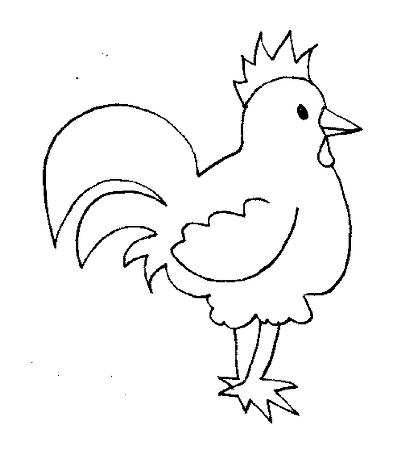  Rooster 
