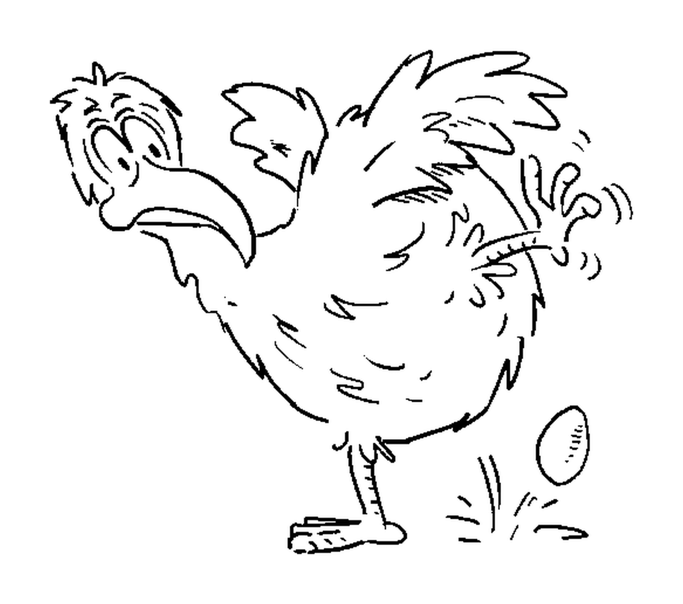  Pollo ponedor de huevos 