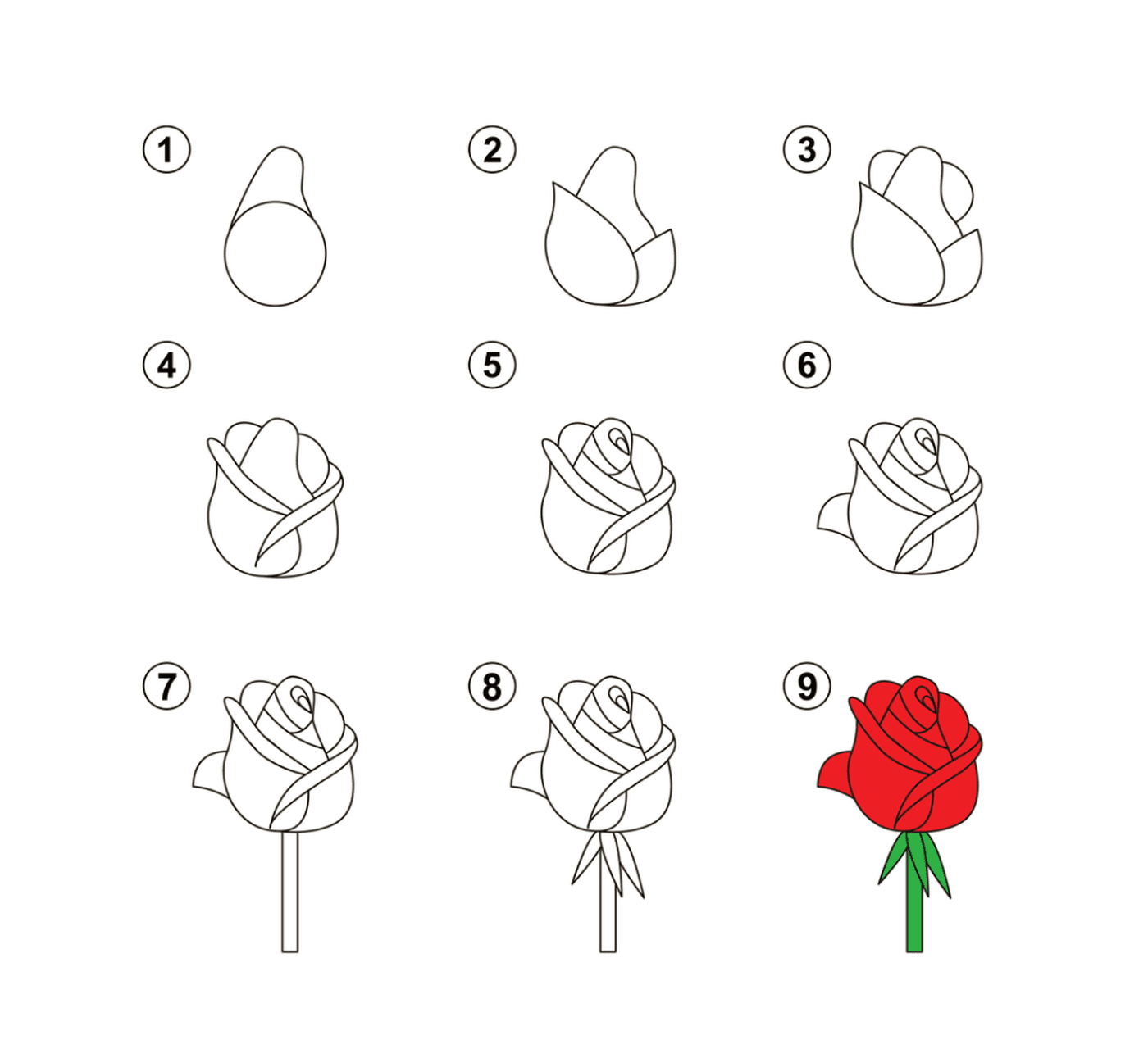  Schritt für Schritt Anleitung, wie man eine Rose zeichnet 
