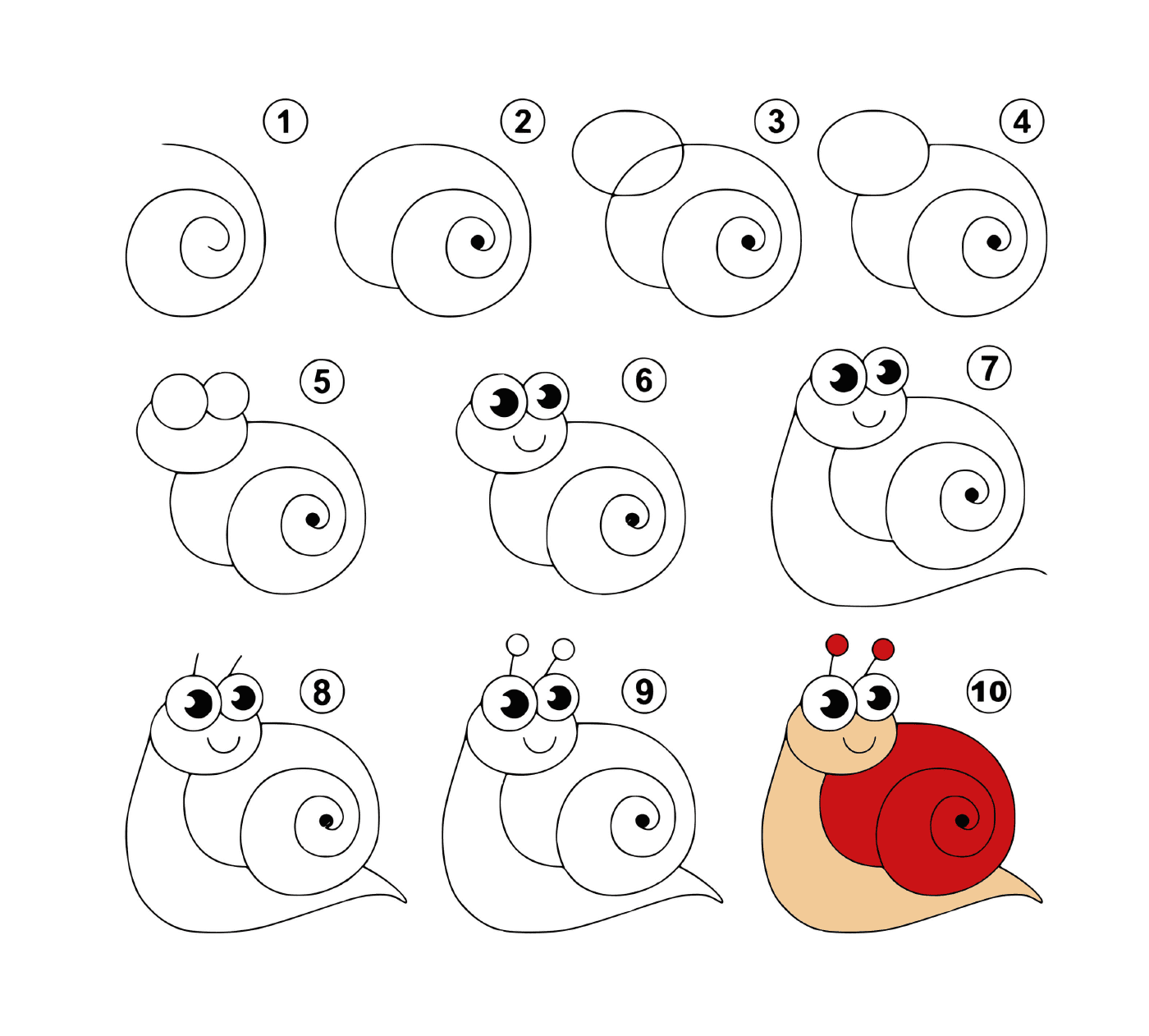  How to draw a snail easily 