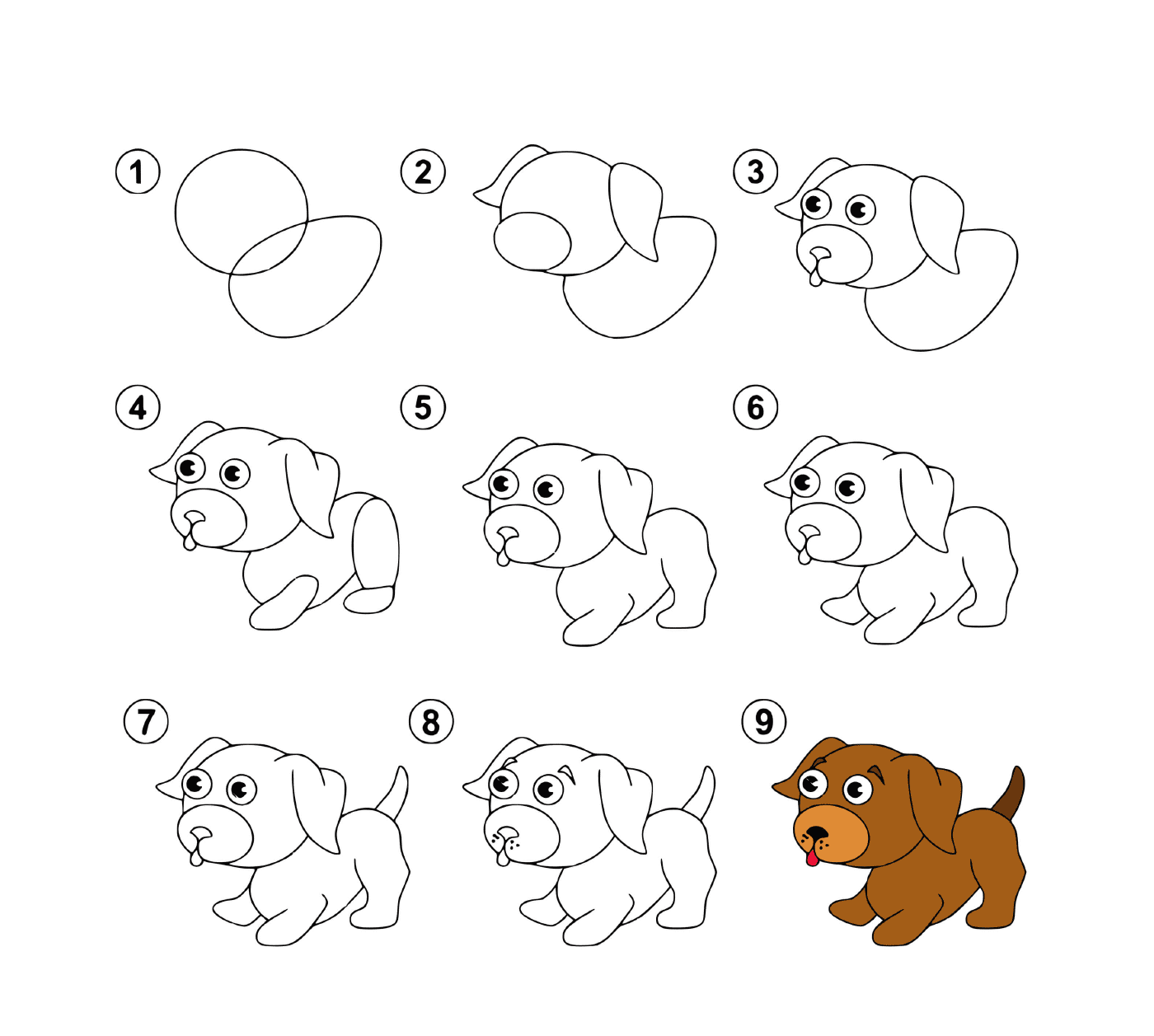  Step by step instructions for drawing a puppy 