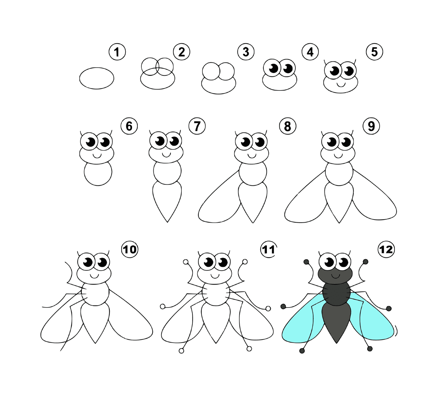  How to draw a fly easily 