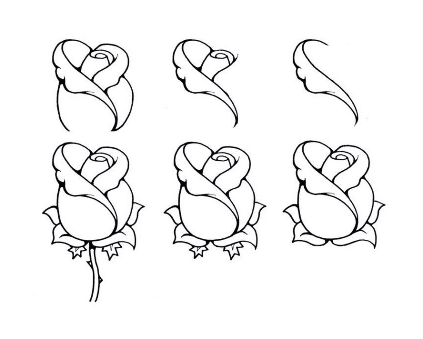  How to draw a rose easily 
