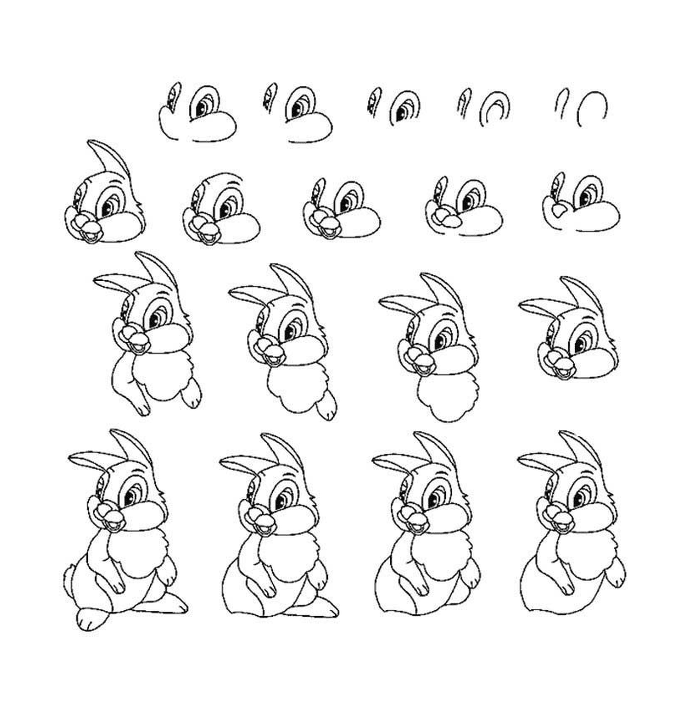  Verschiedene Posen eines Kaninchens 