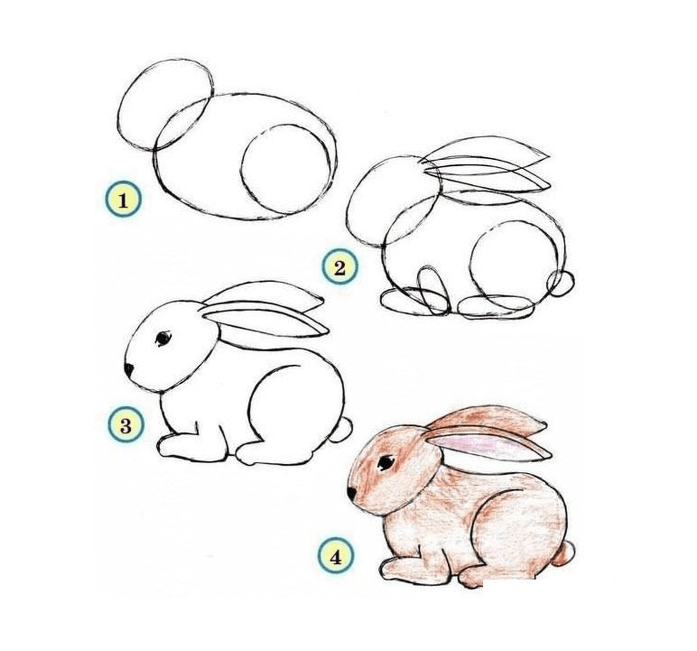  Как рисовать кролика шаг за шагом 