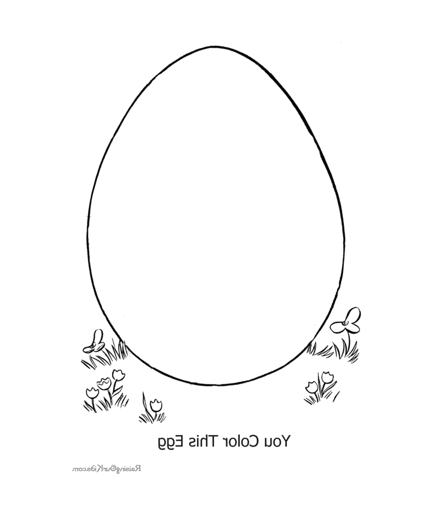 gusci di uova adulti 