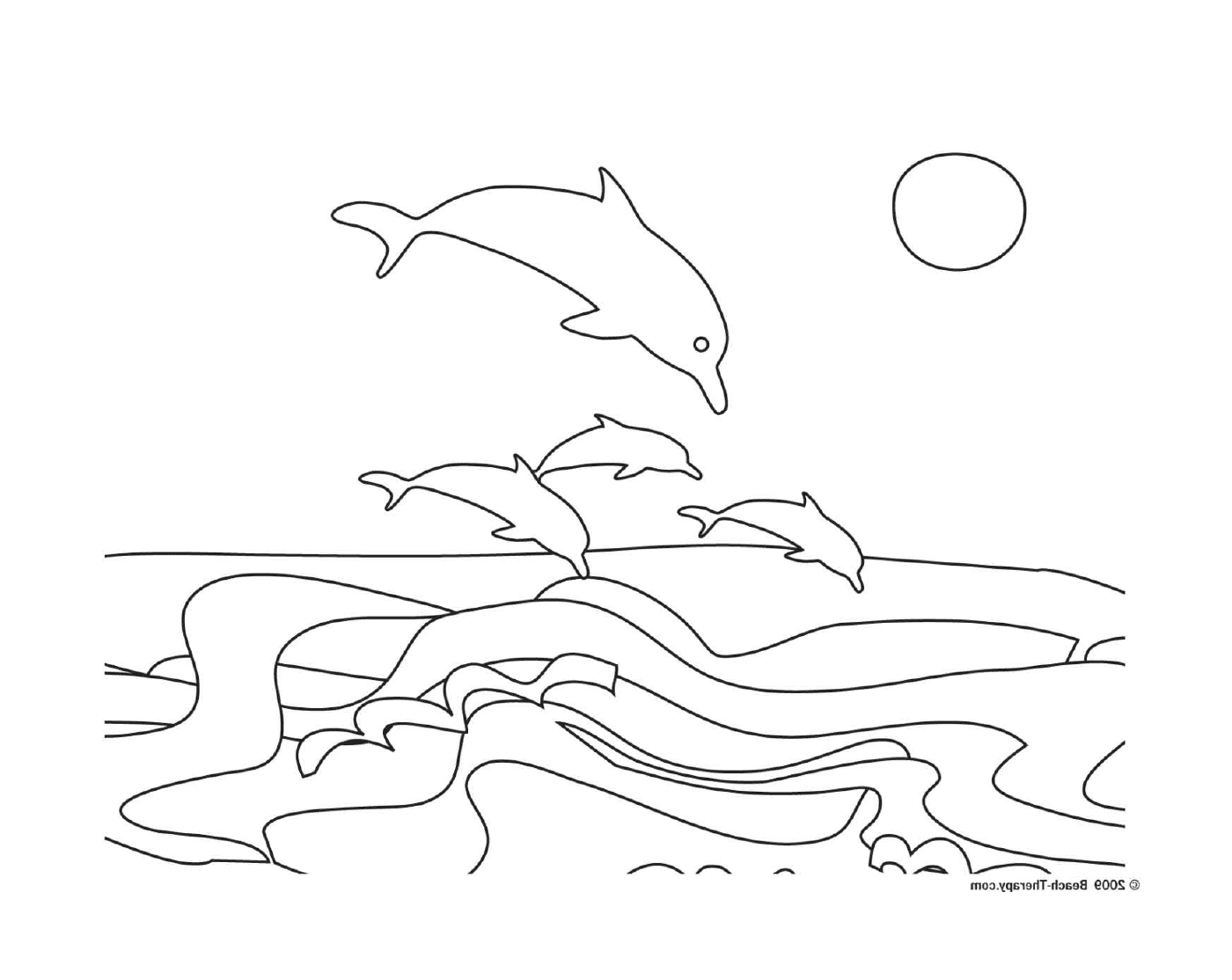  Gruppo di delfini che saltano fuori dall'acqua 