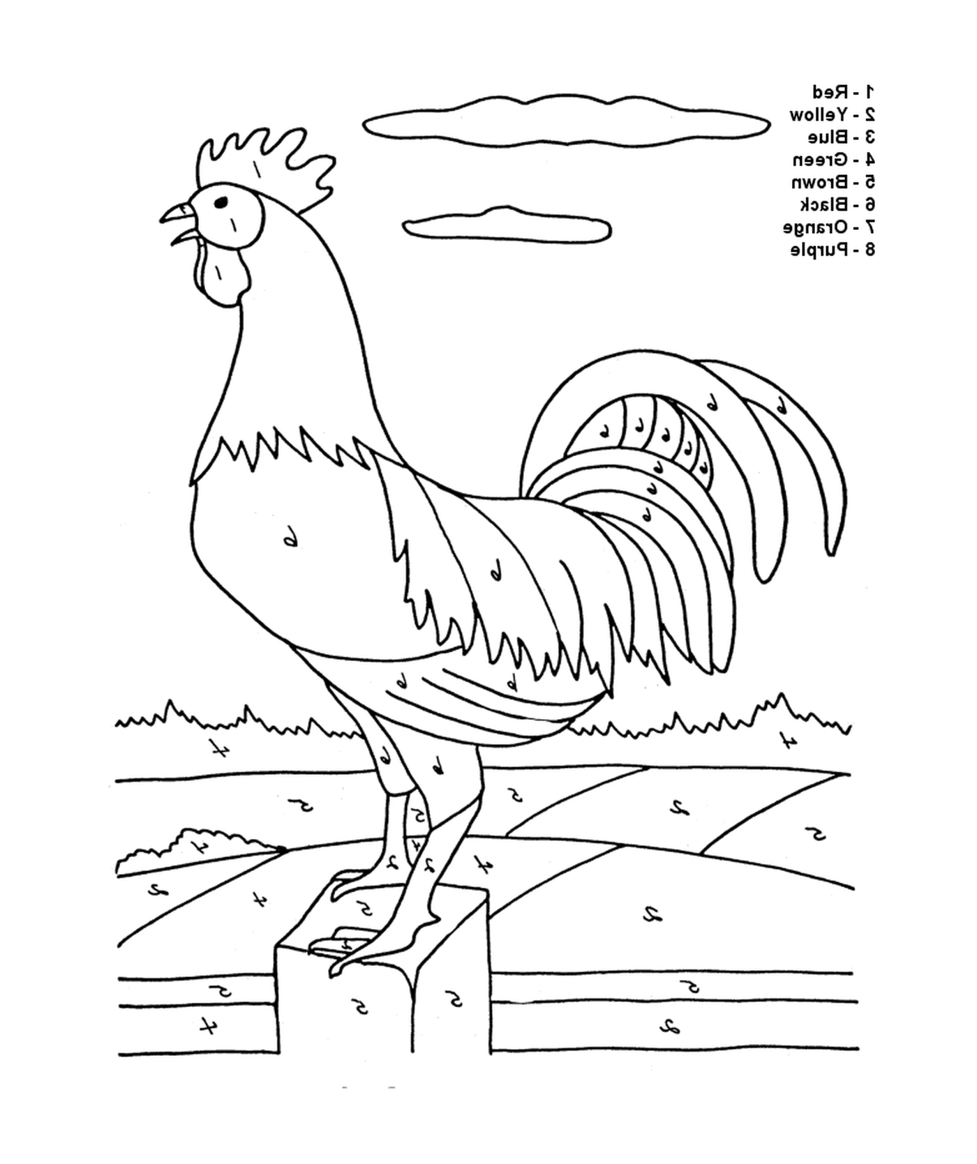  Rooster with numbers 