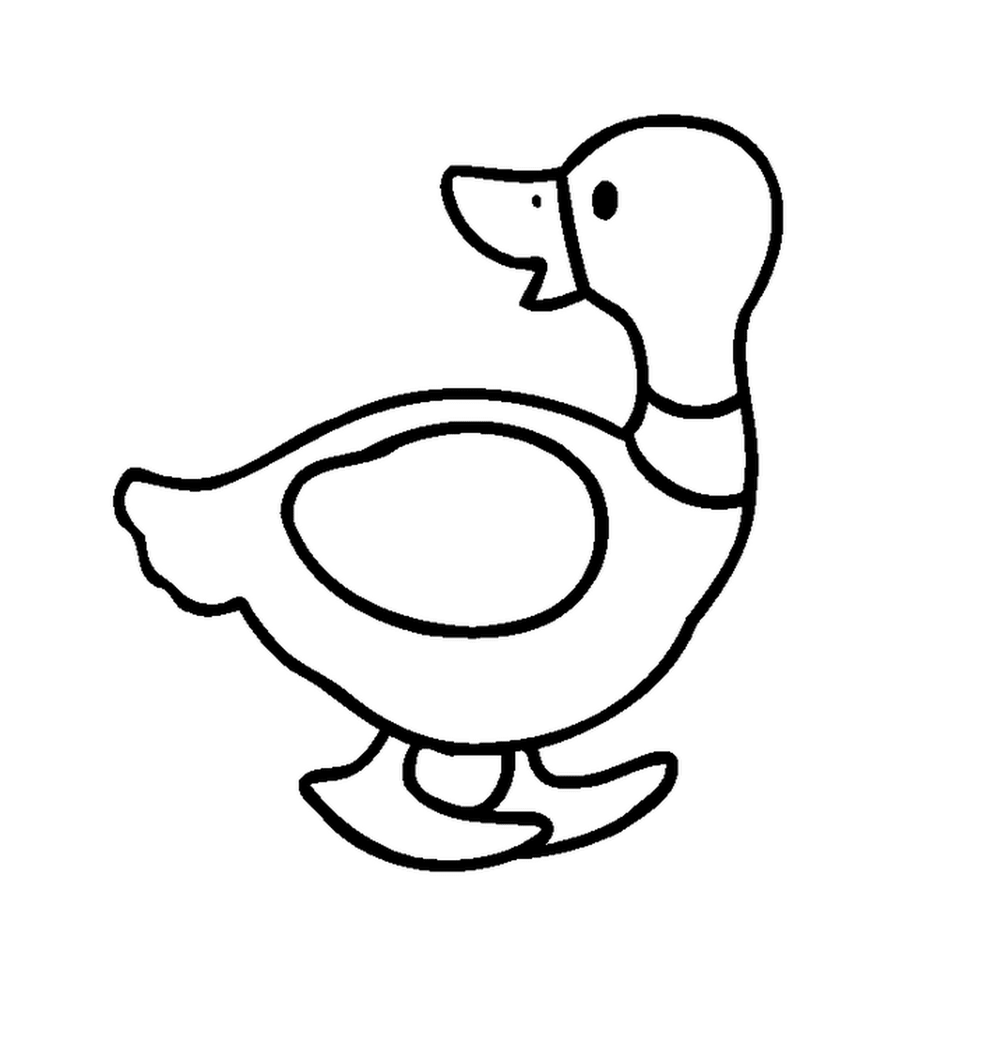  Un pato 