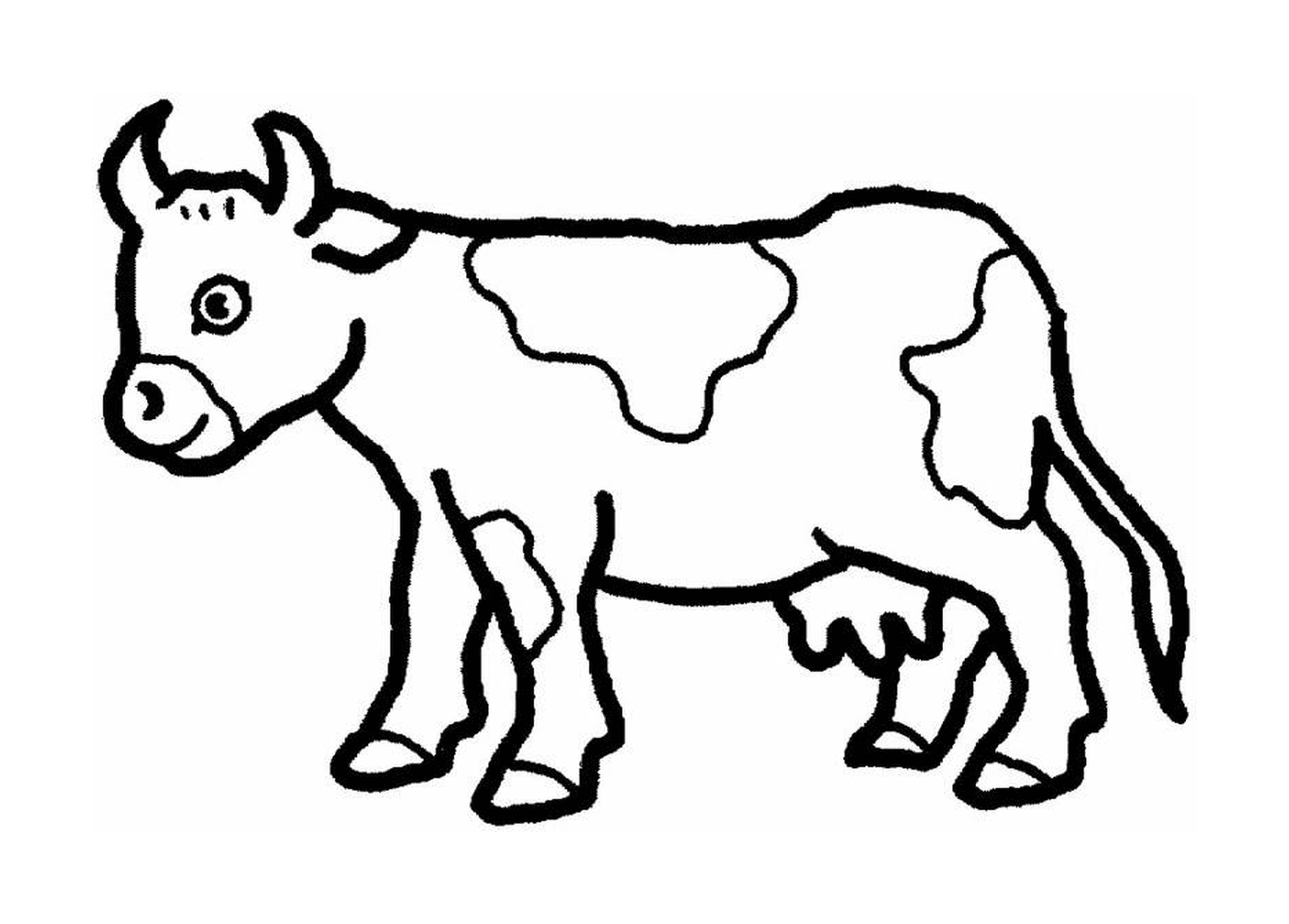  A cow 