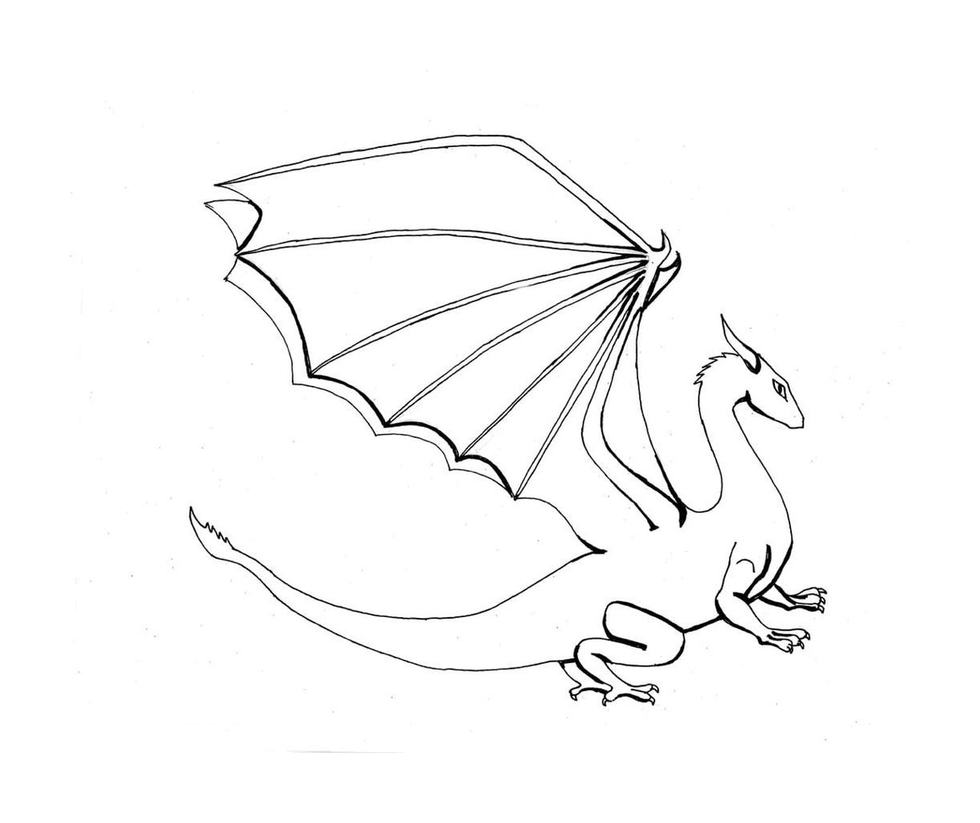  Un drago bianco con una lunga coda 