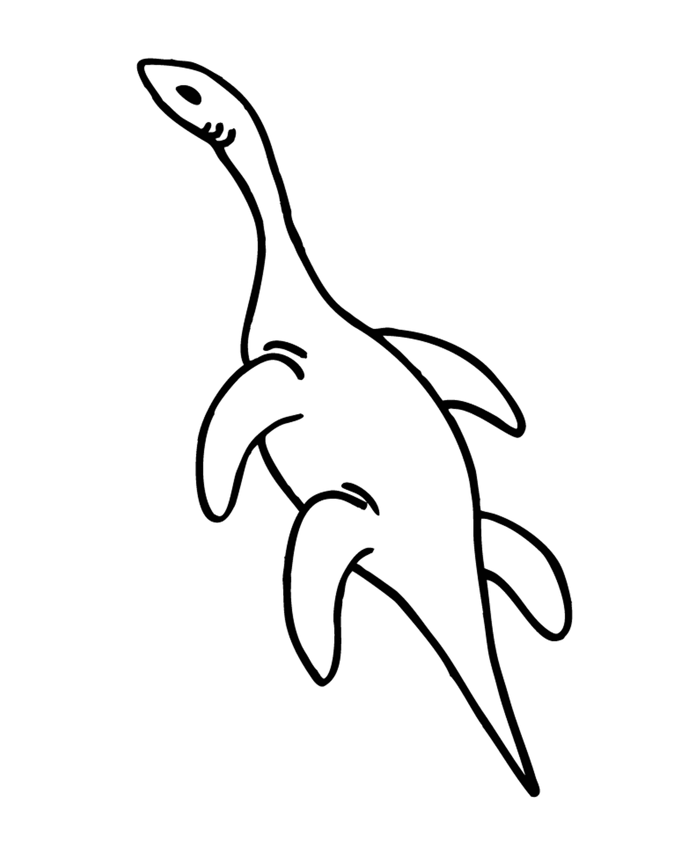  A dolphin 