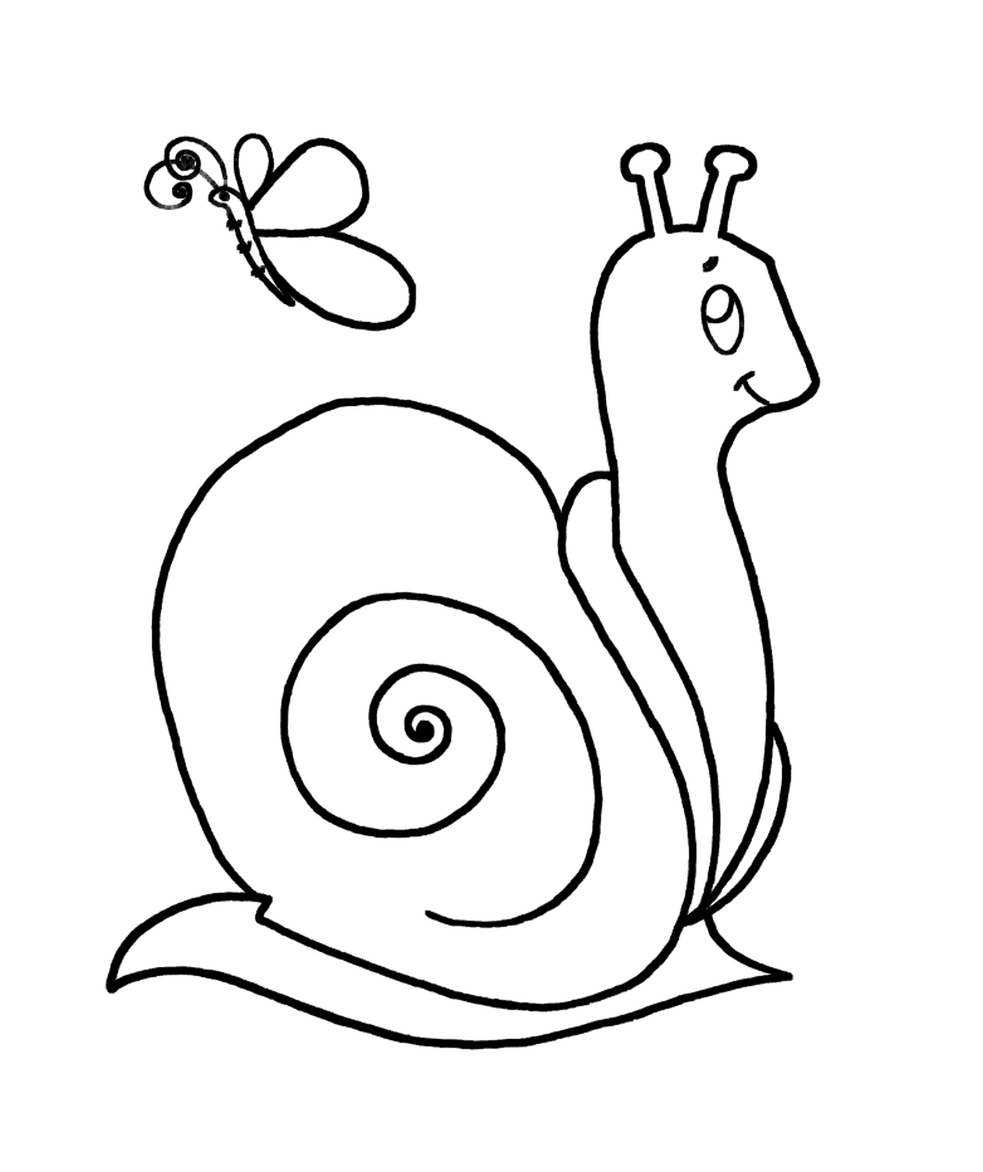  A snail and a butterfly 
