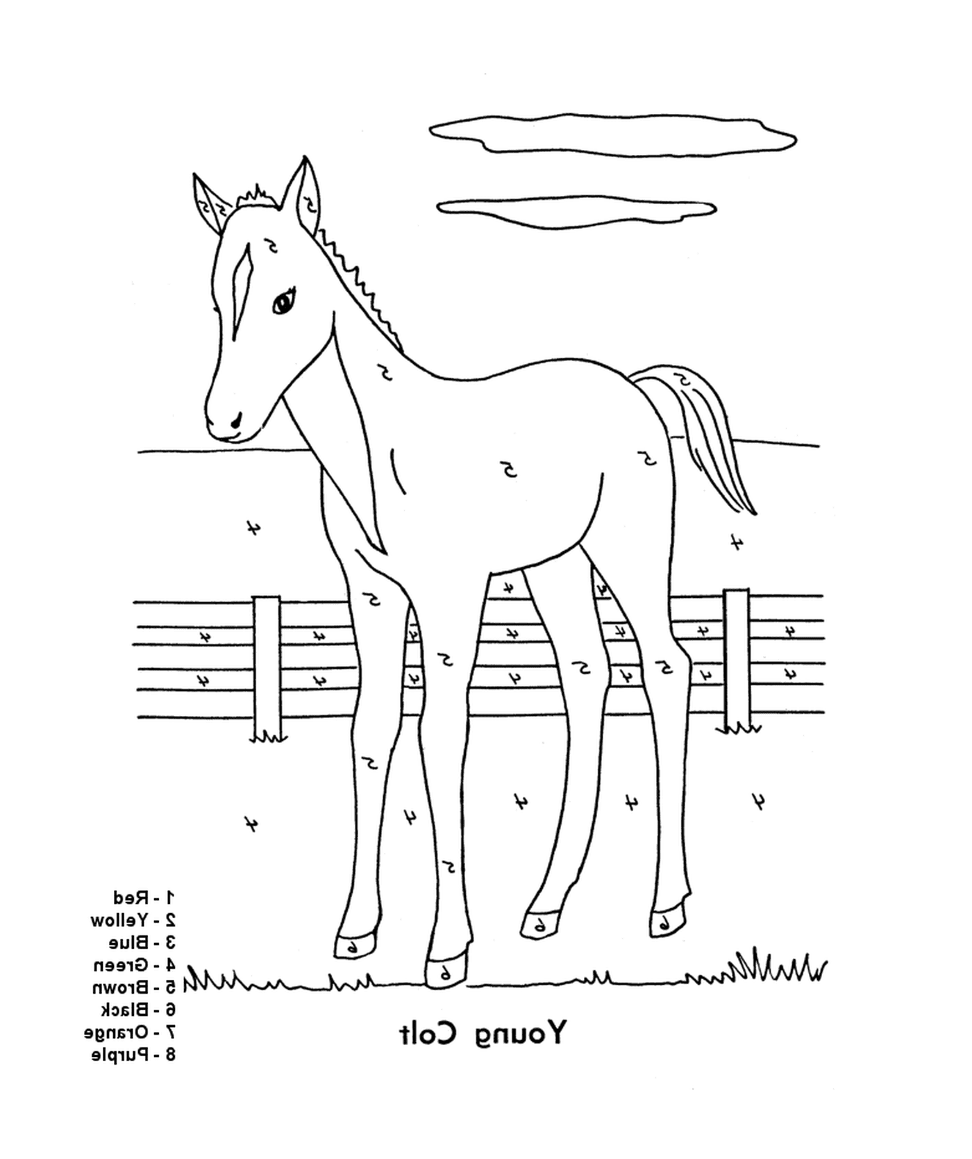  Un caballo de pie delante de una valla 