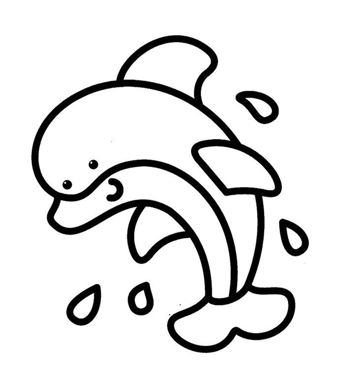  Un delfín, un animal marino fácil para niños de 2 años 