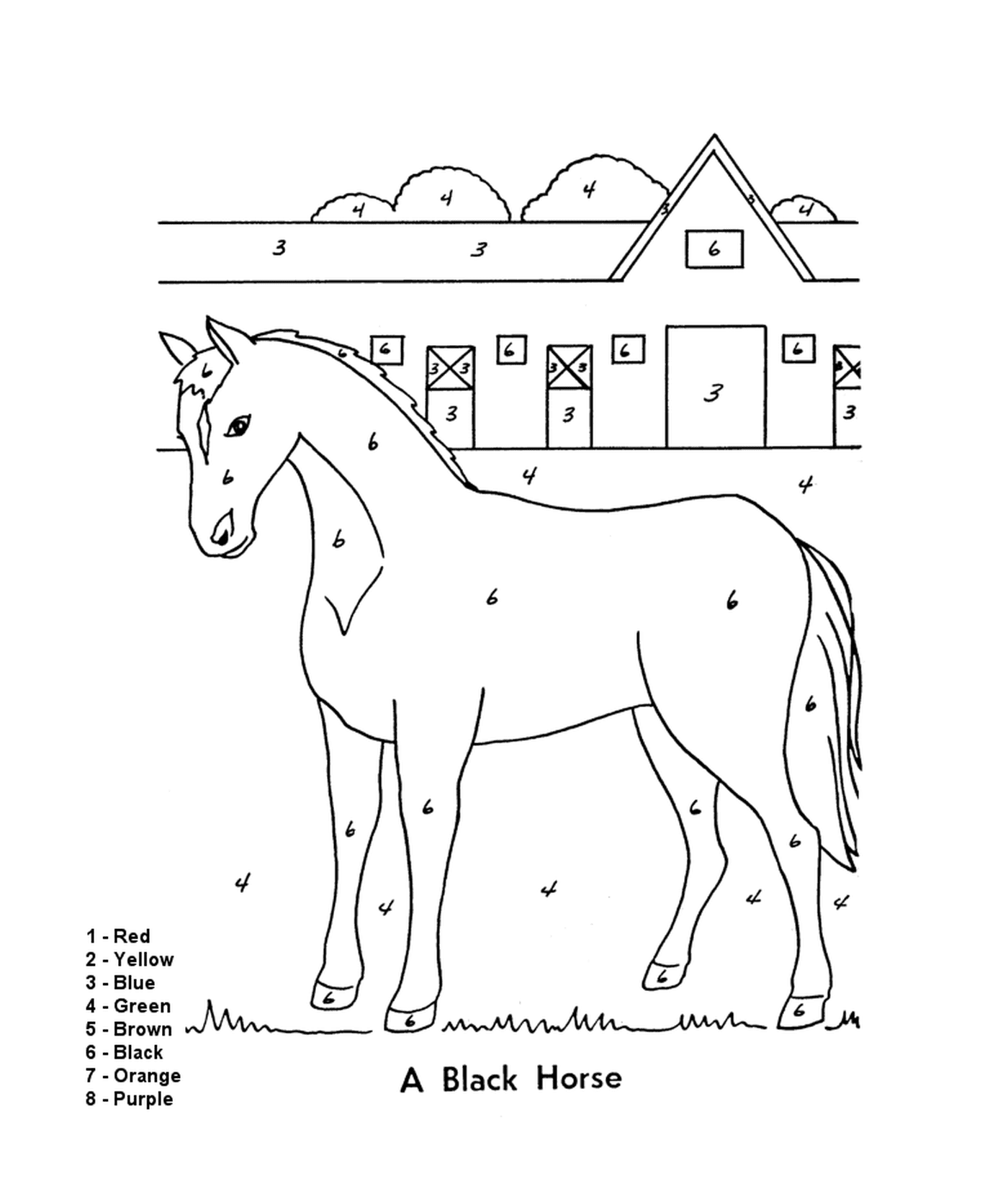  Cavallo in un campo 
