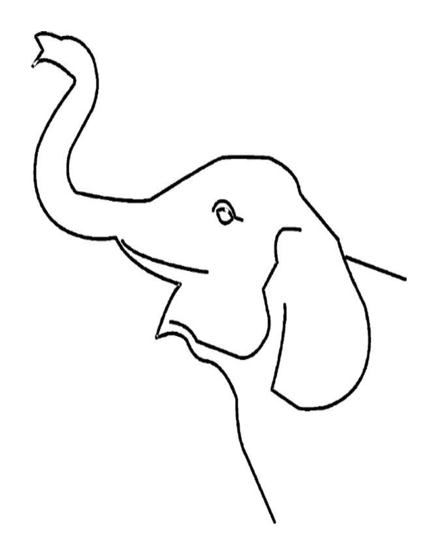  An elephant's trunk is emerging 