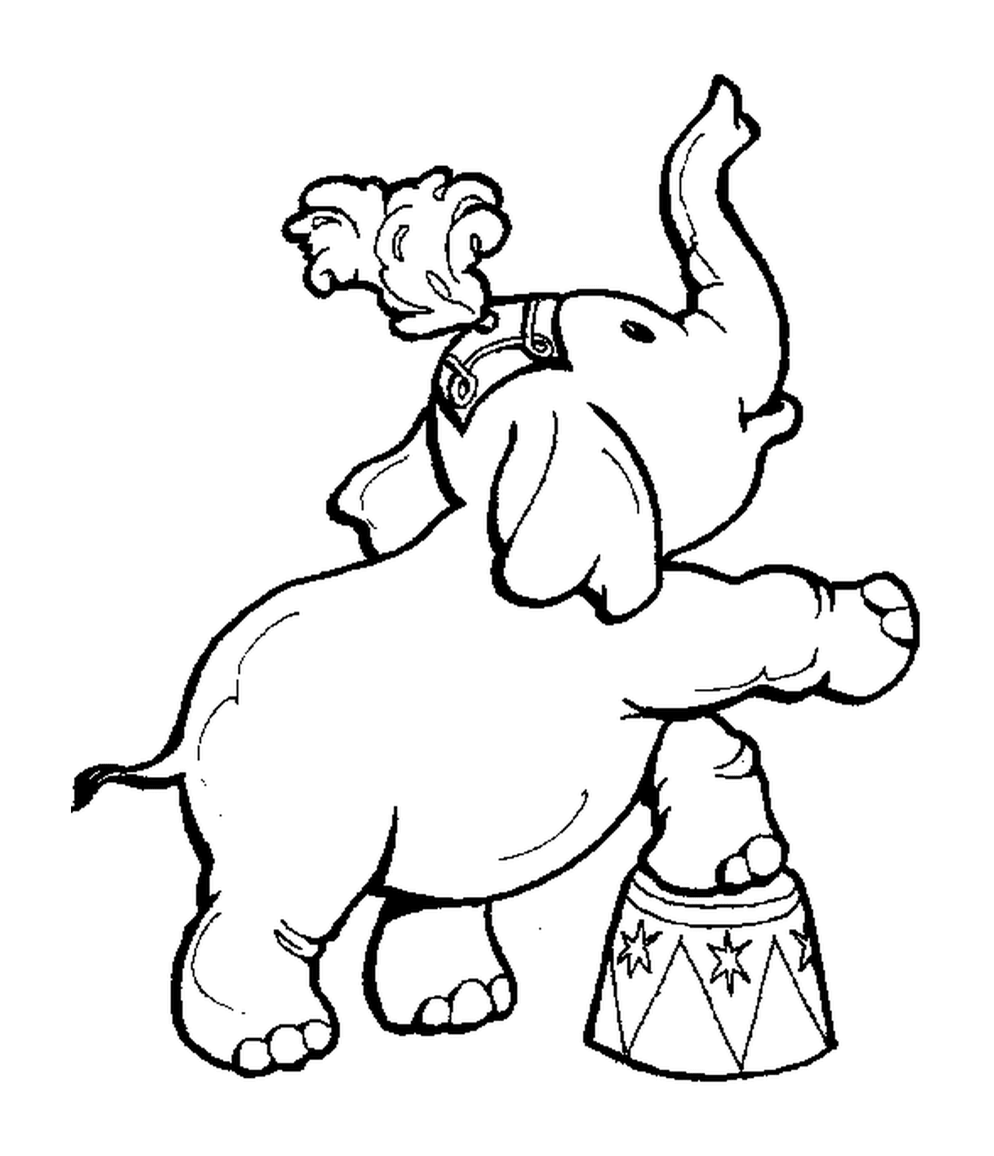  Ein Elefant steht auf einer Trommel 