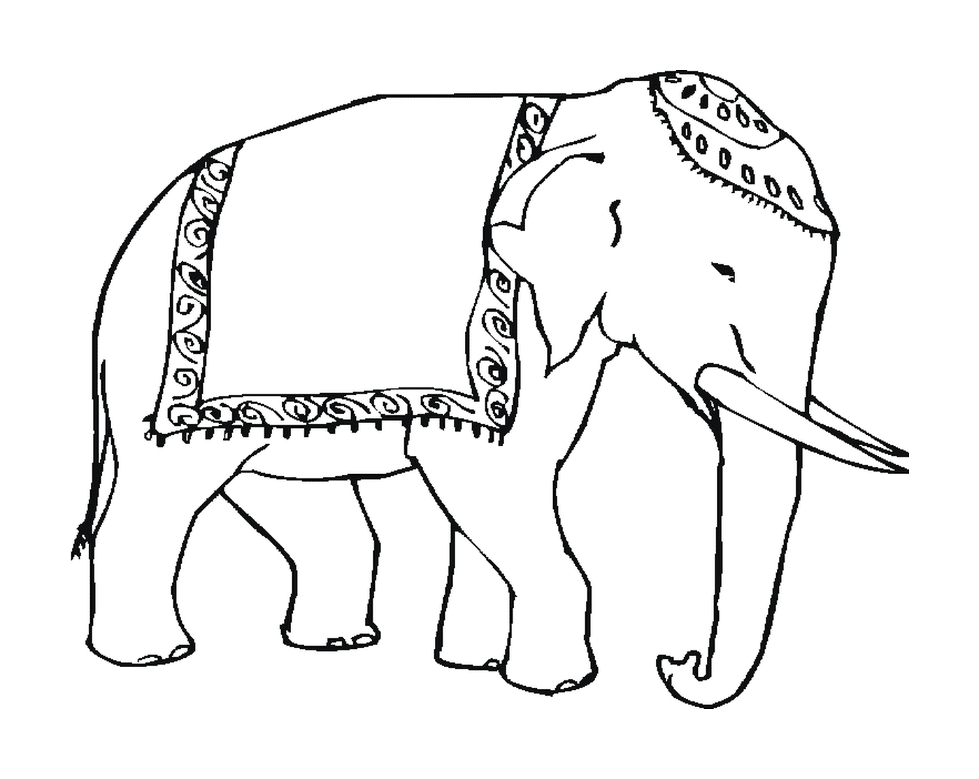  An elephant with a blanket on his back 