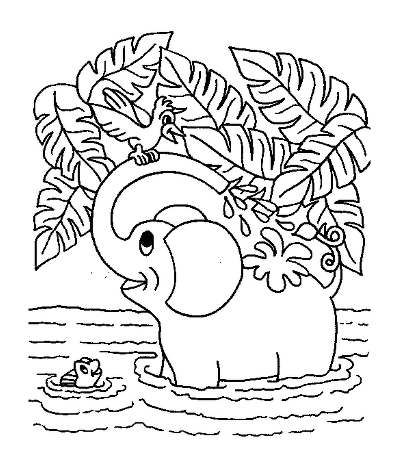  Un elefante che si lava in un fiume 