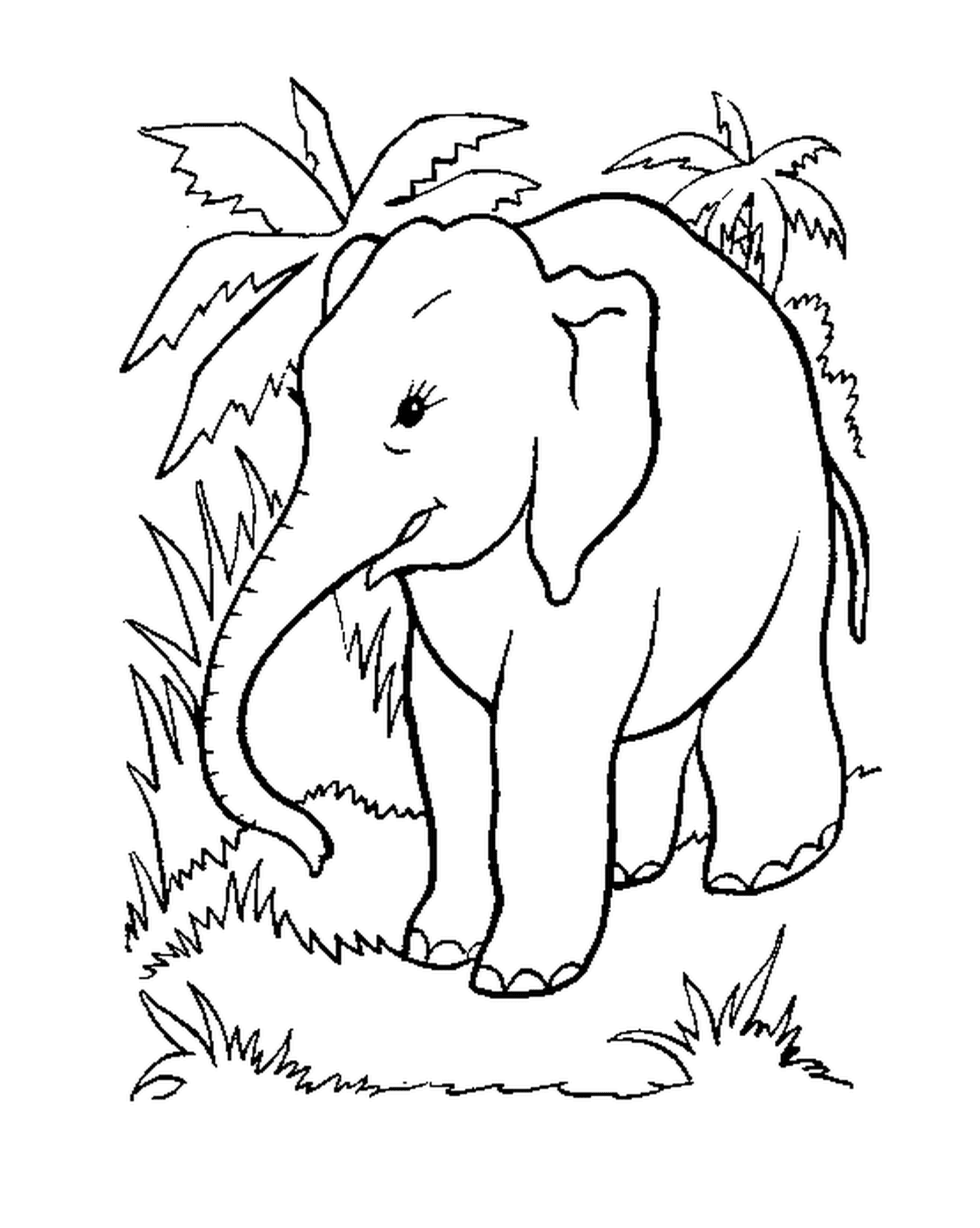  Un elefante in piedi nell'erba vicino ad un albero 