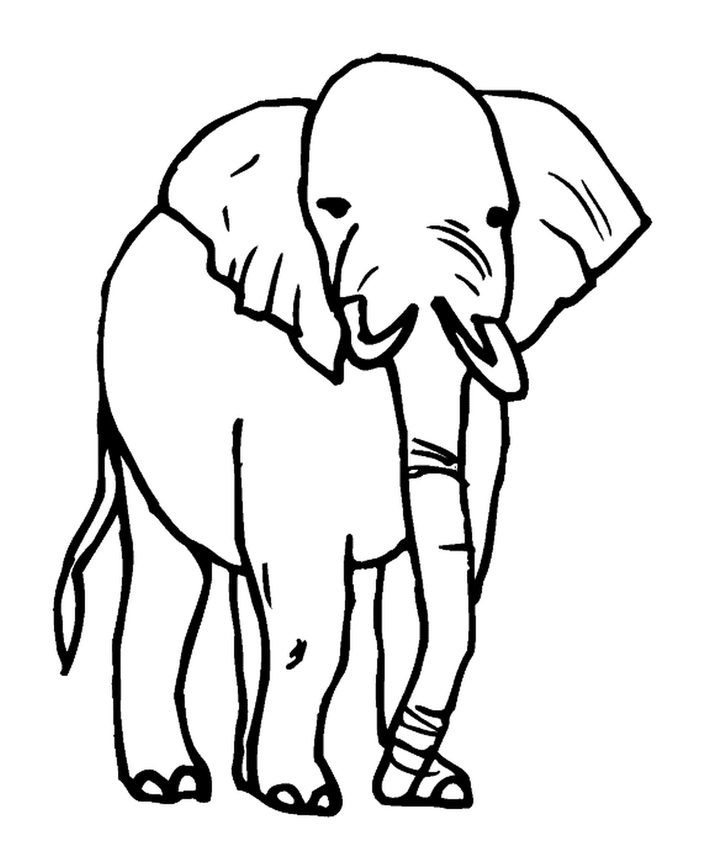  Dibujo de elefantes 