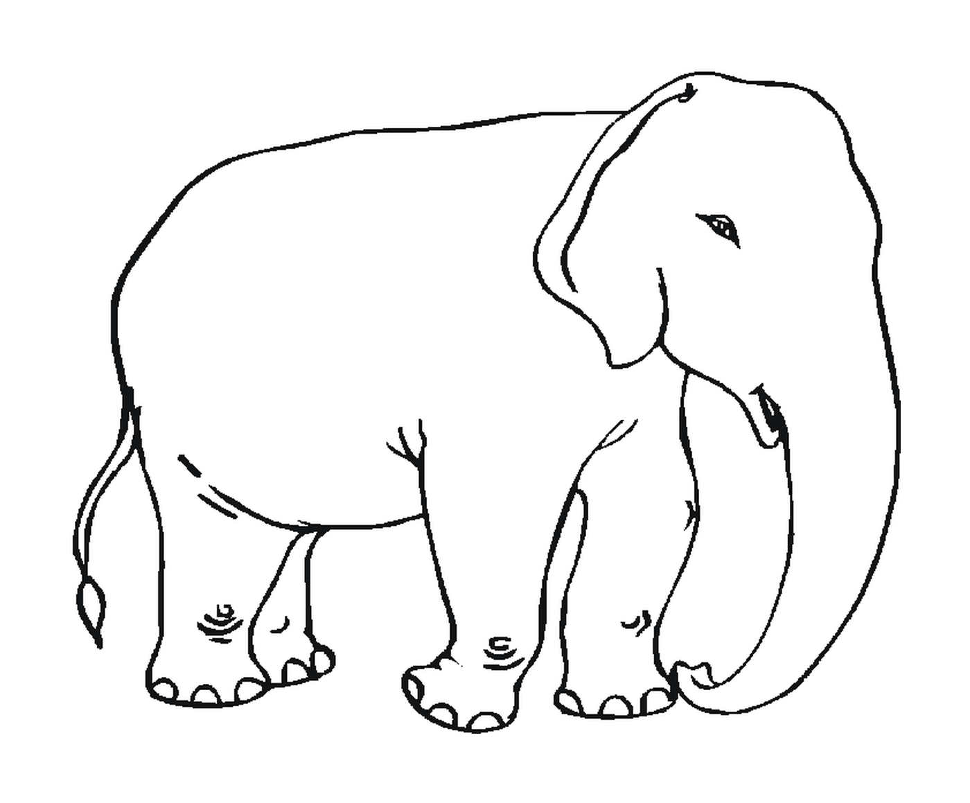  Farbiger Elefant 