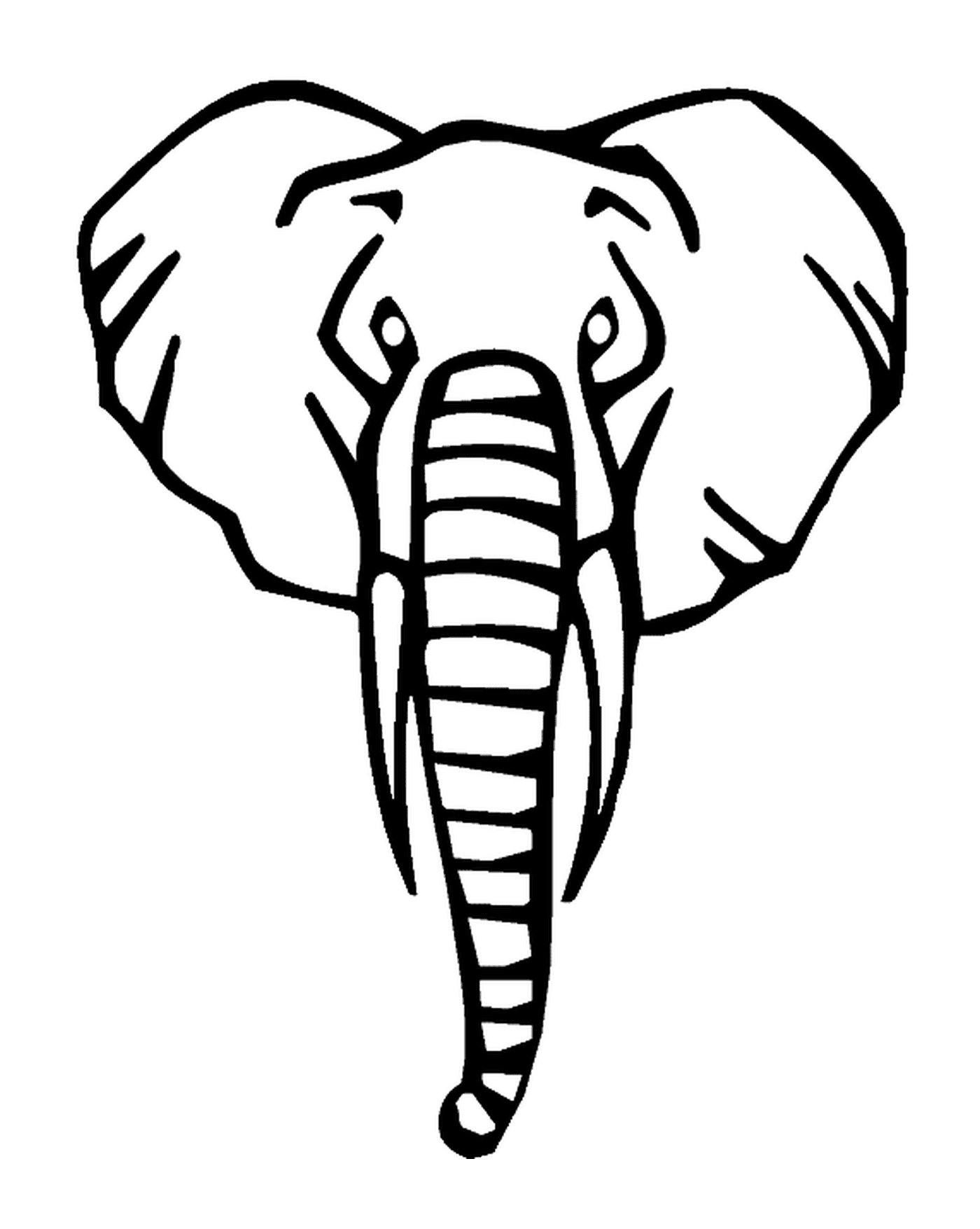  La cabeza de un elefante delantero 