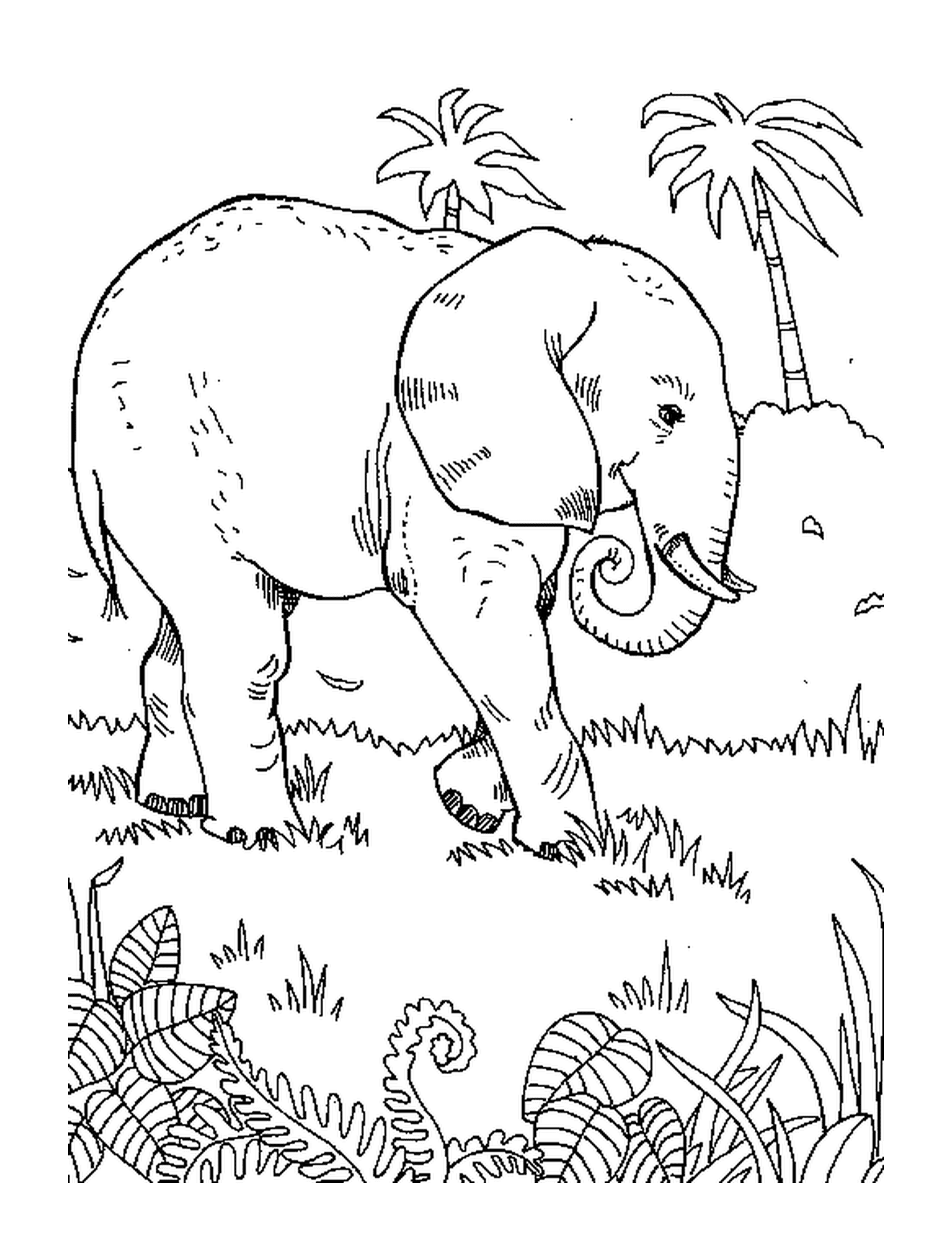  An elephant walking in the grass near a palm tree 