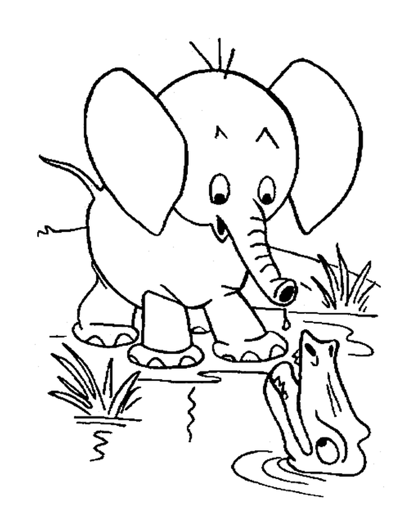  Un elefante de pie junto al agua con un cocodrilo 