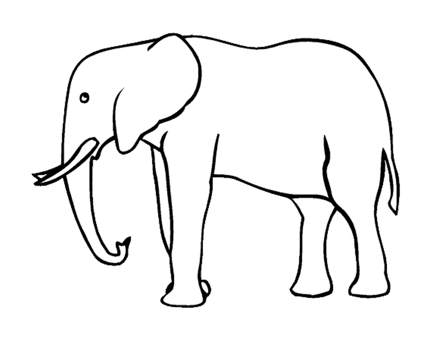  Eine Elefantensilhouette mit Stoßzähnen 