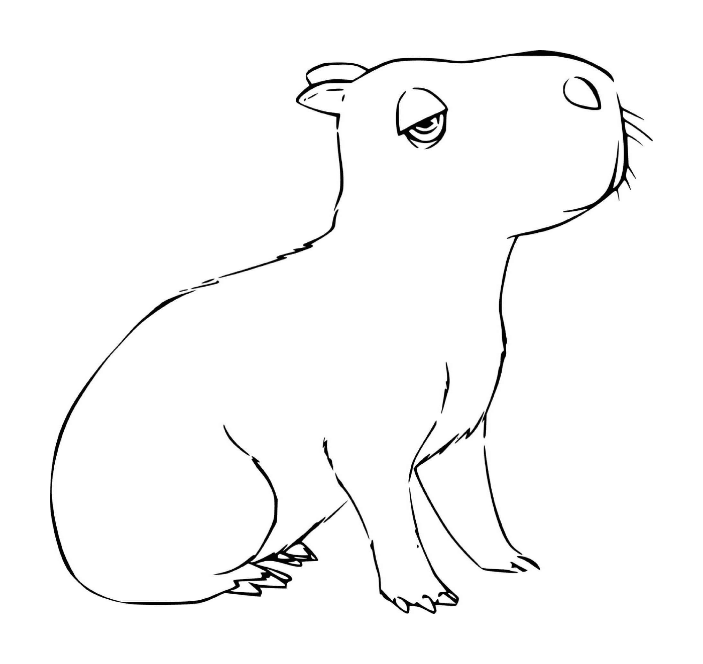  An Encanto capybara 