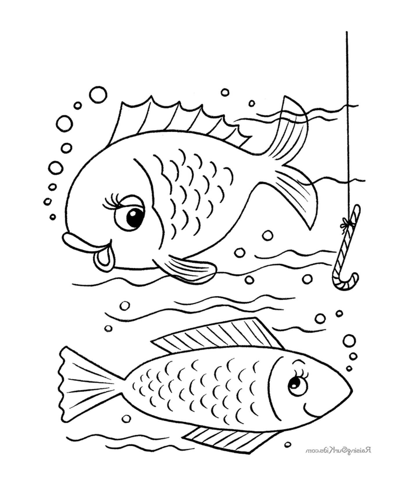  Two fish swim in the water while another fish 
