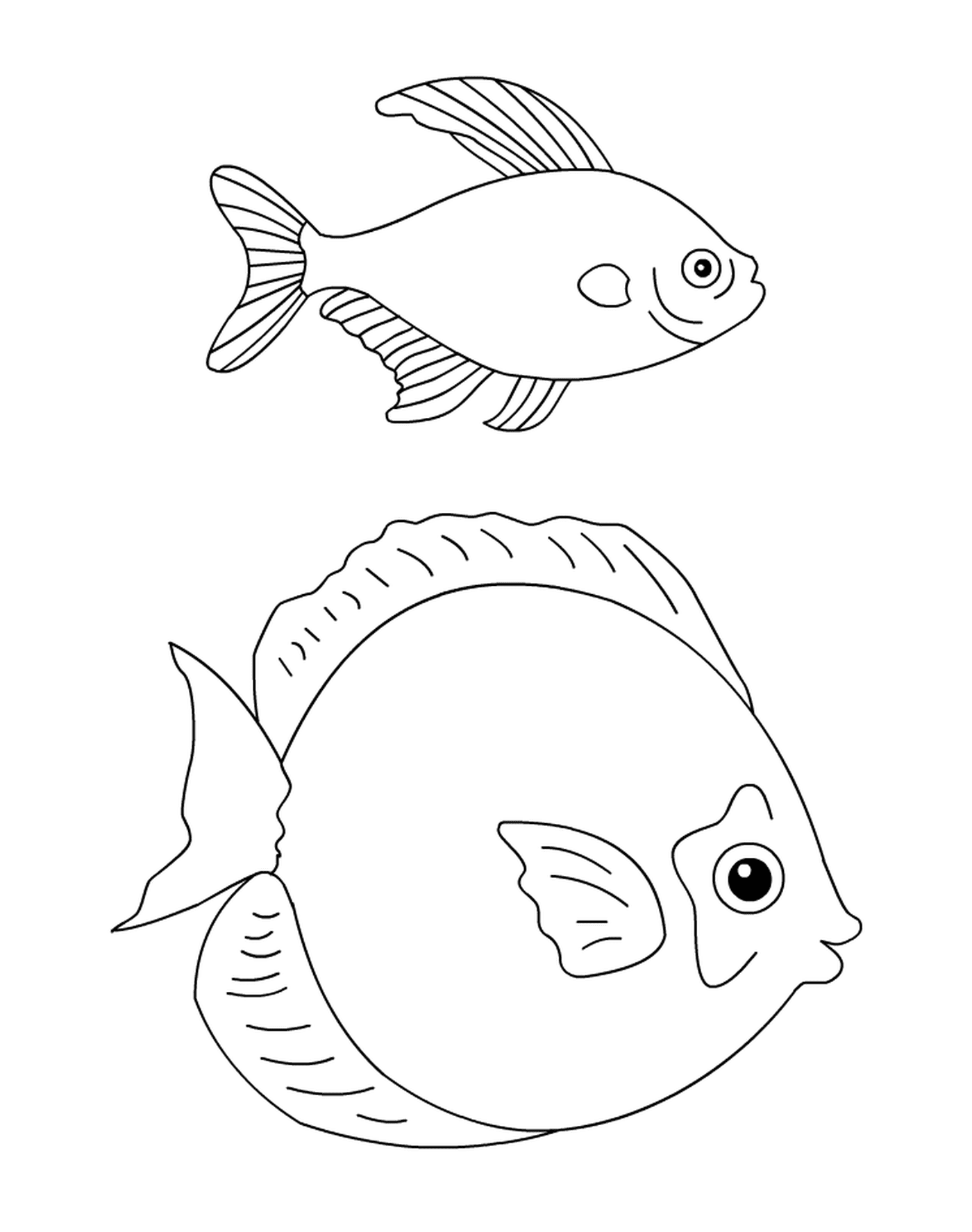  A fish and an animal drawn together 