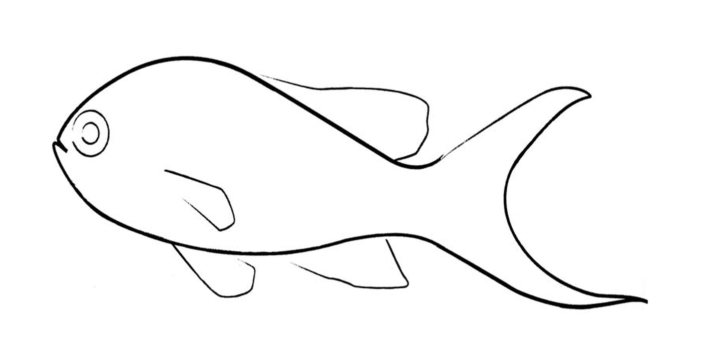 Апрельская рыба круглая