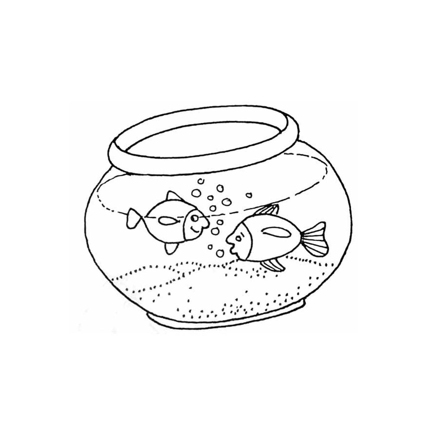  Fische in einem Glas 