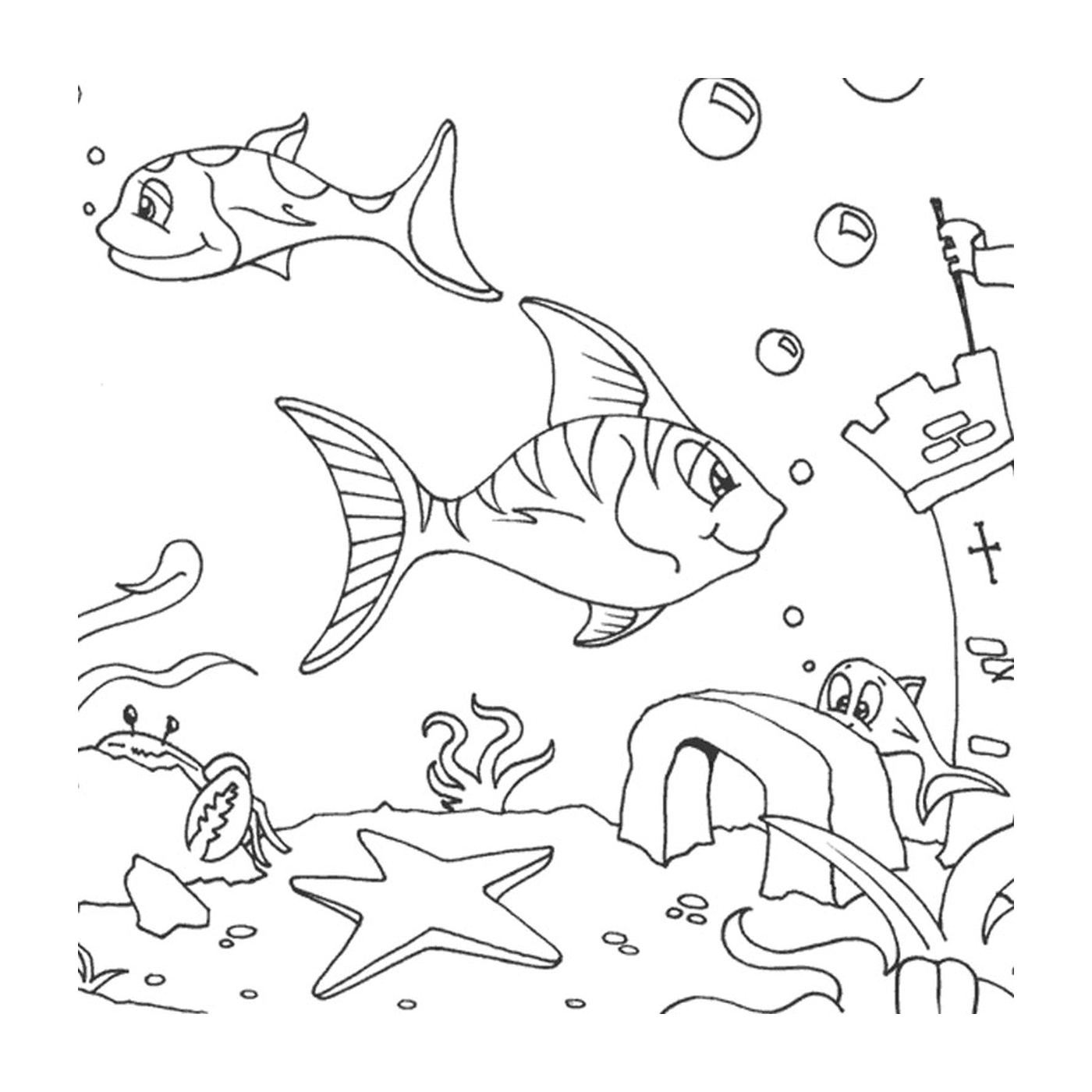  Bubbles de peces de mar gato 
