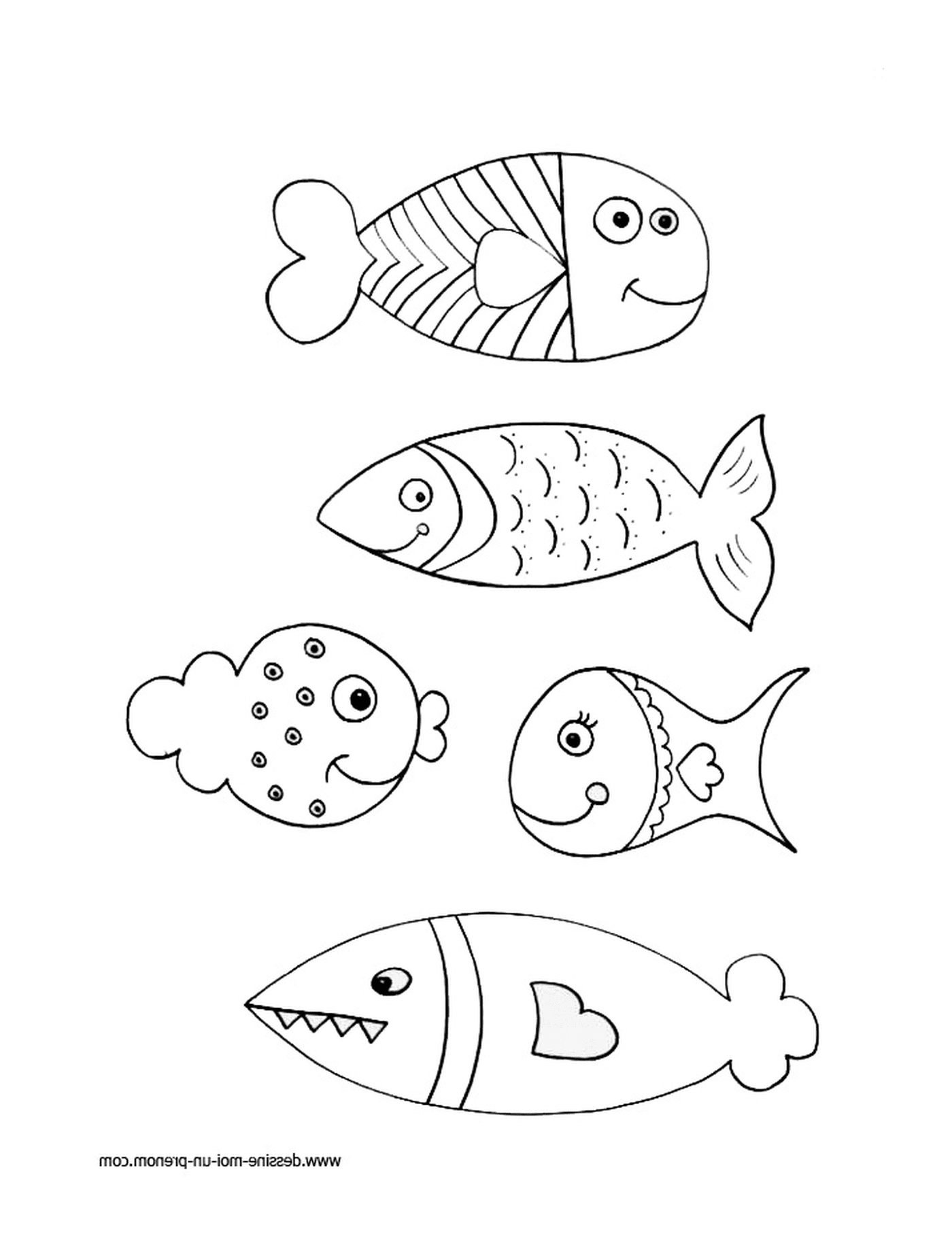  Ausgerichtete Fischgruppe 