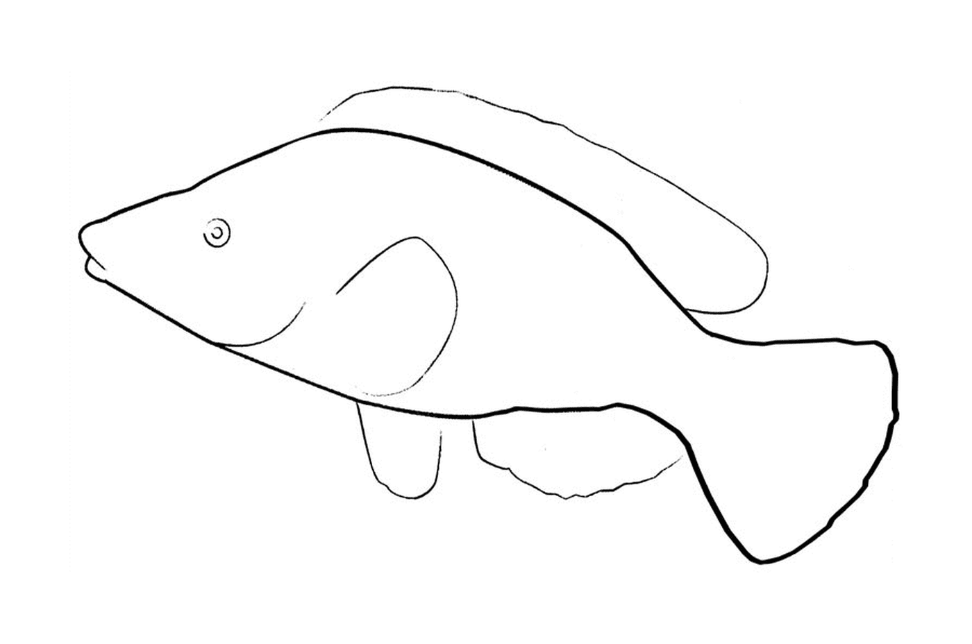  Dibujo de peces Abril 