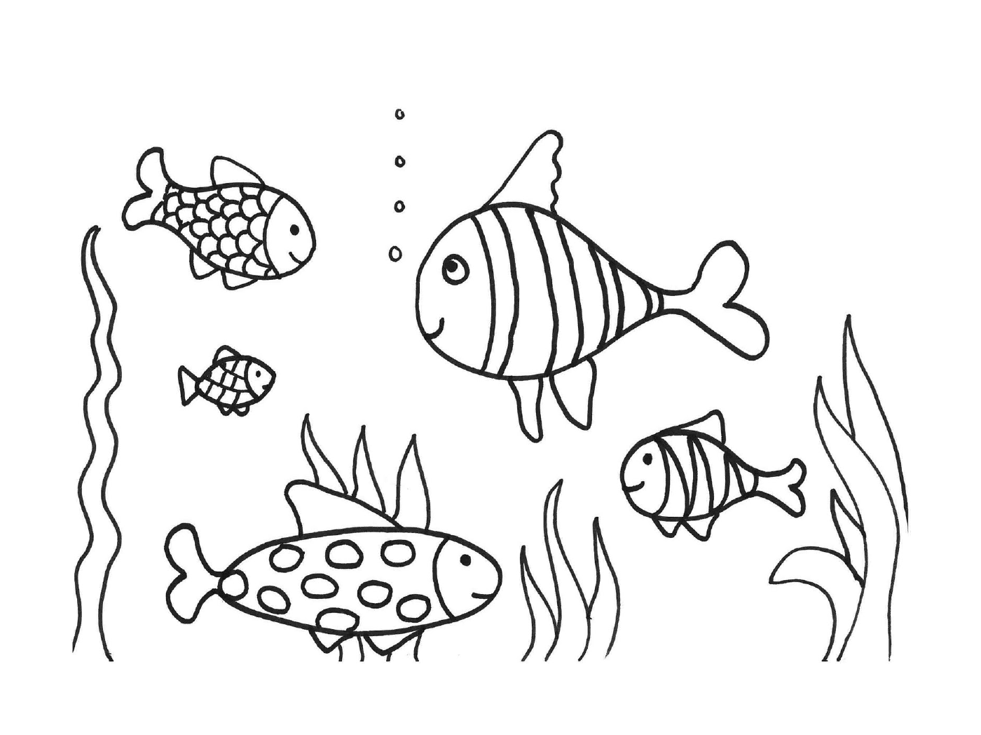  Un sacco di pesci in acqua 