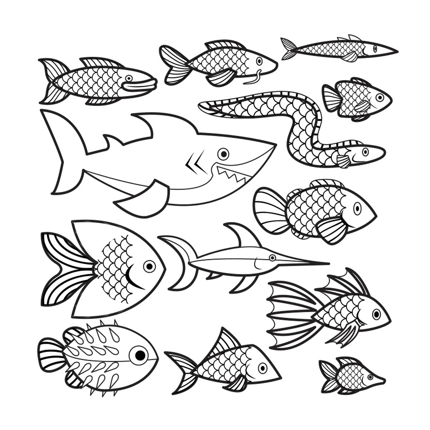  Molti pesci da colorare 