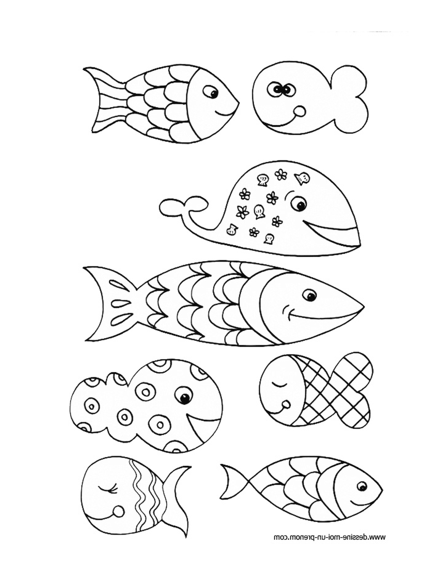  Allineamento di diversi pesci 