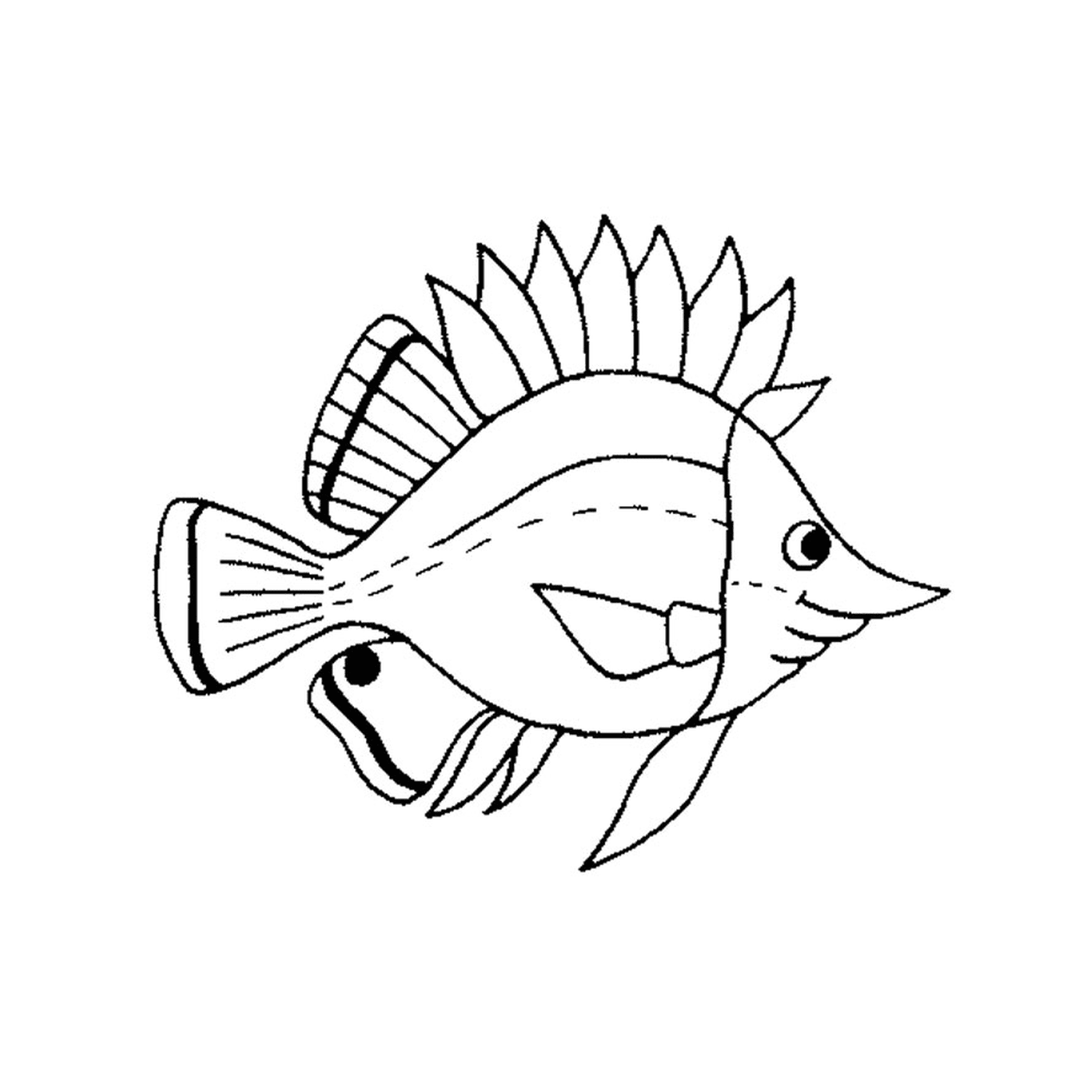  Sea fish 