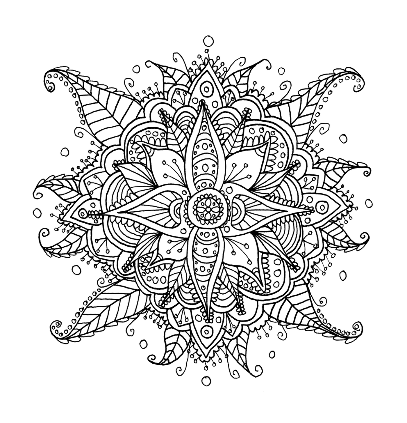  Mandala di fiori complessi 