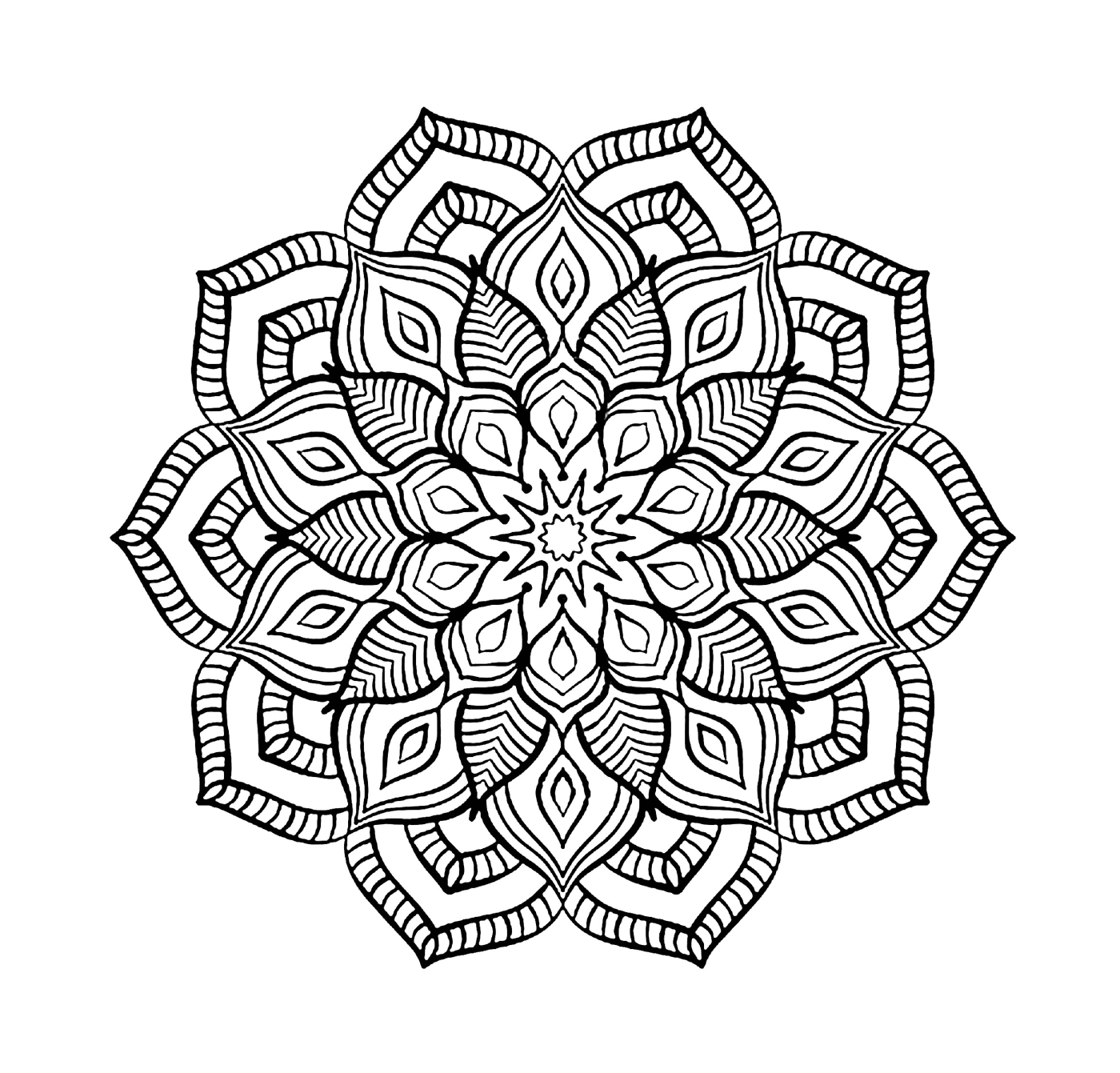  Ein florales Mandala für Erwachsene, zum Entspannen 