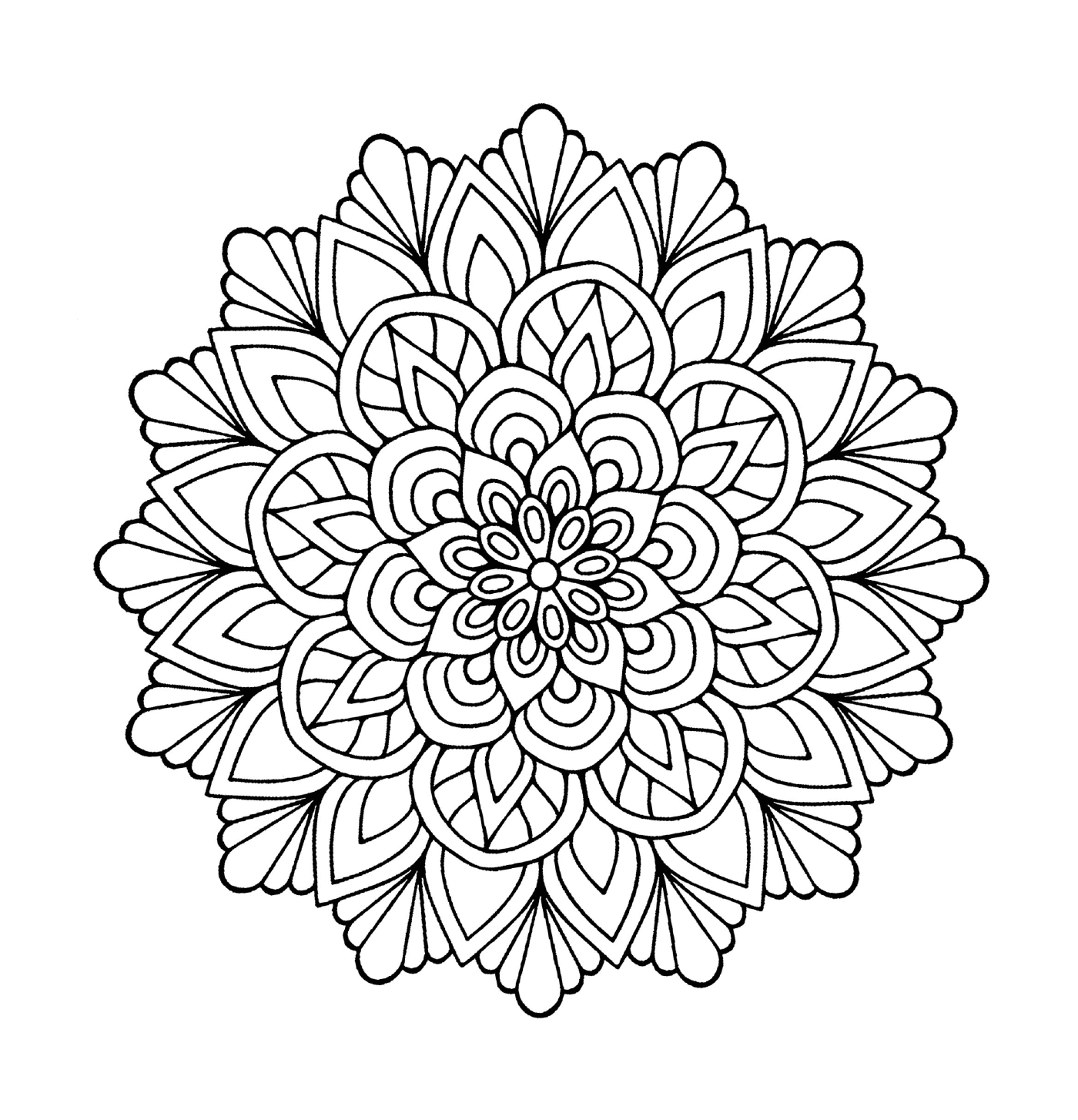  A floral mandala with leaves 