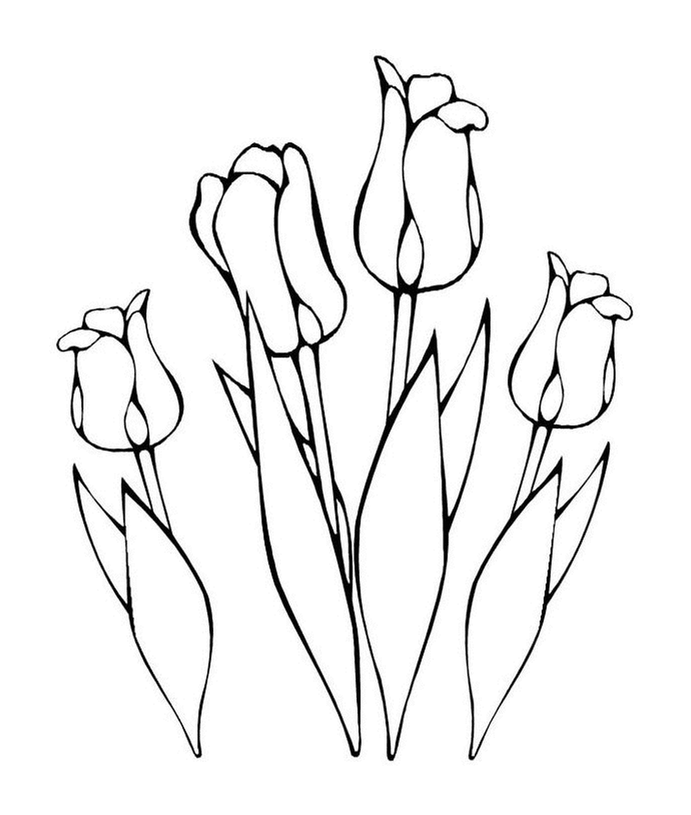  Un ramo de tulipanes en la tierra 