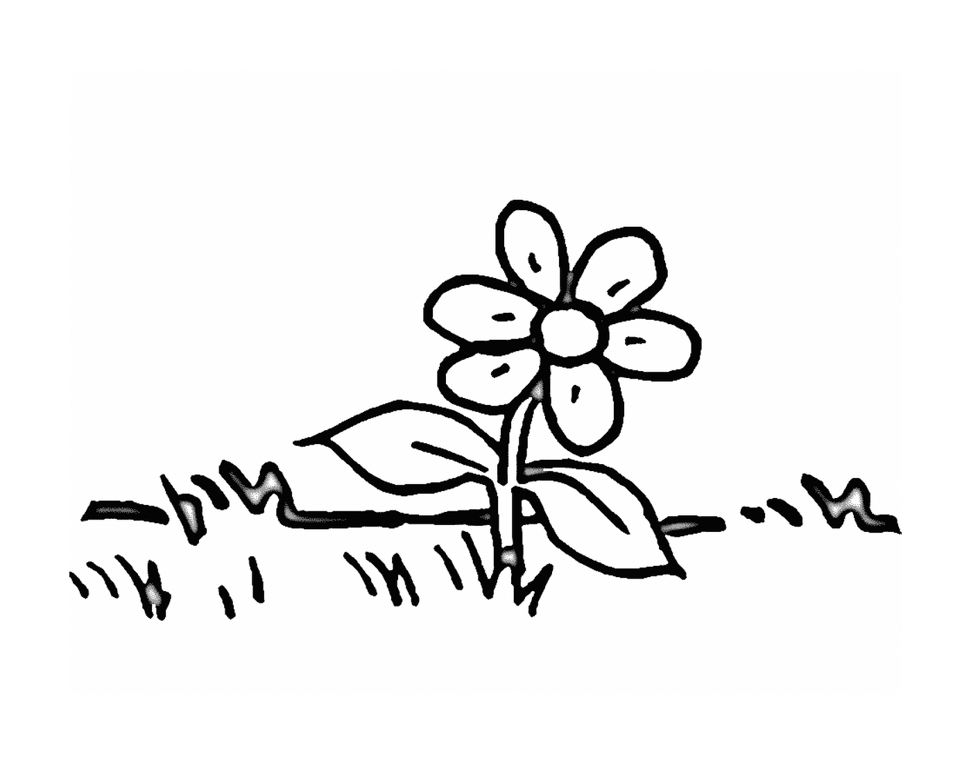  Una marguerita en la hierba 