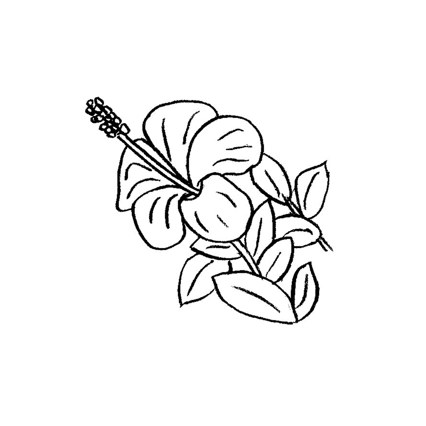  Una flor hawaiana con hojas 
